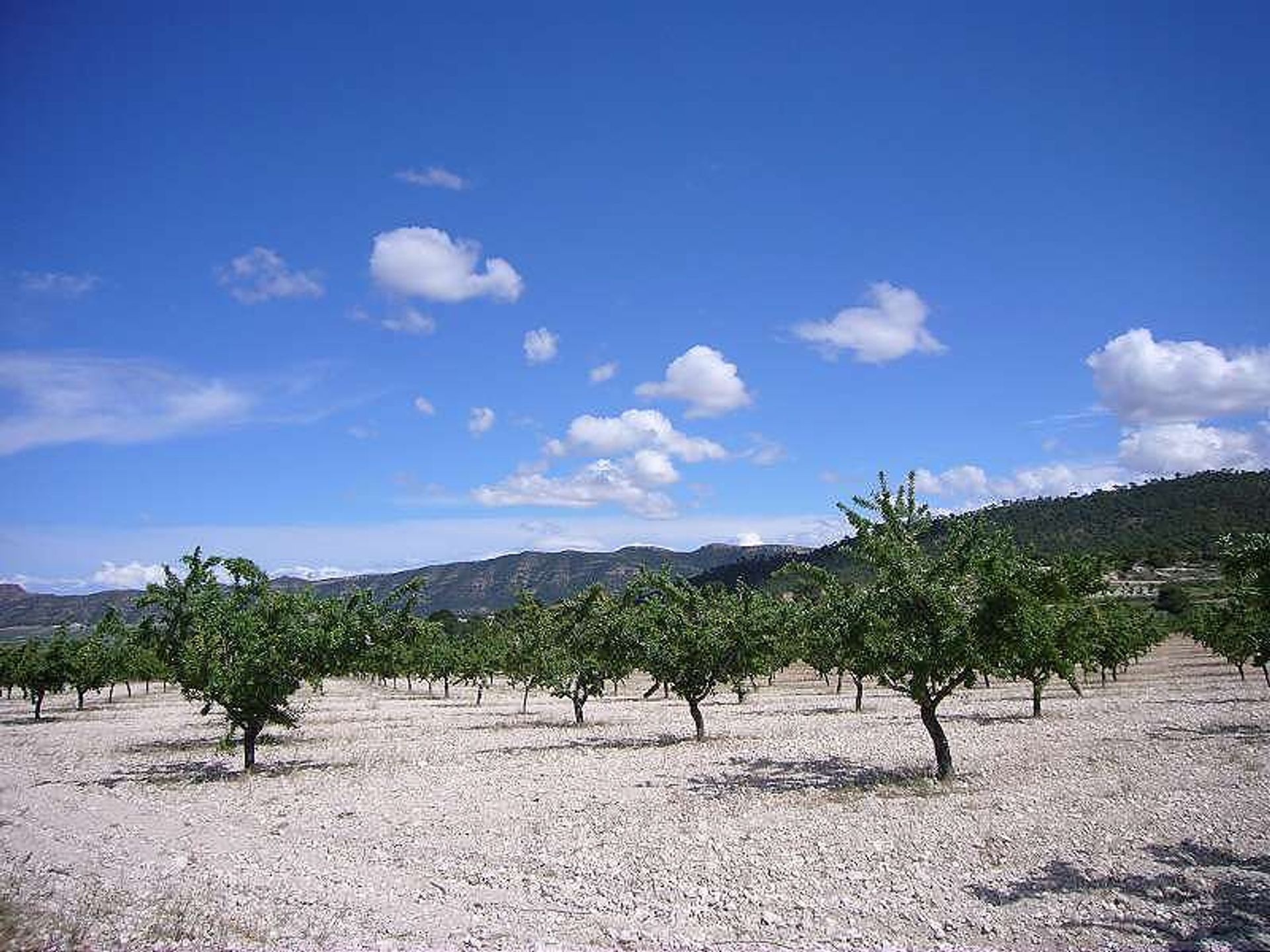 بيت في les Salines d'Elda, Comunidad Valenciana 10722819