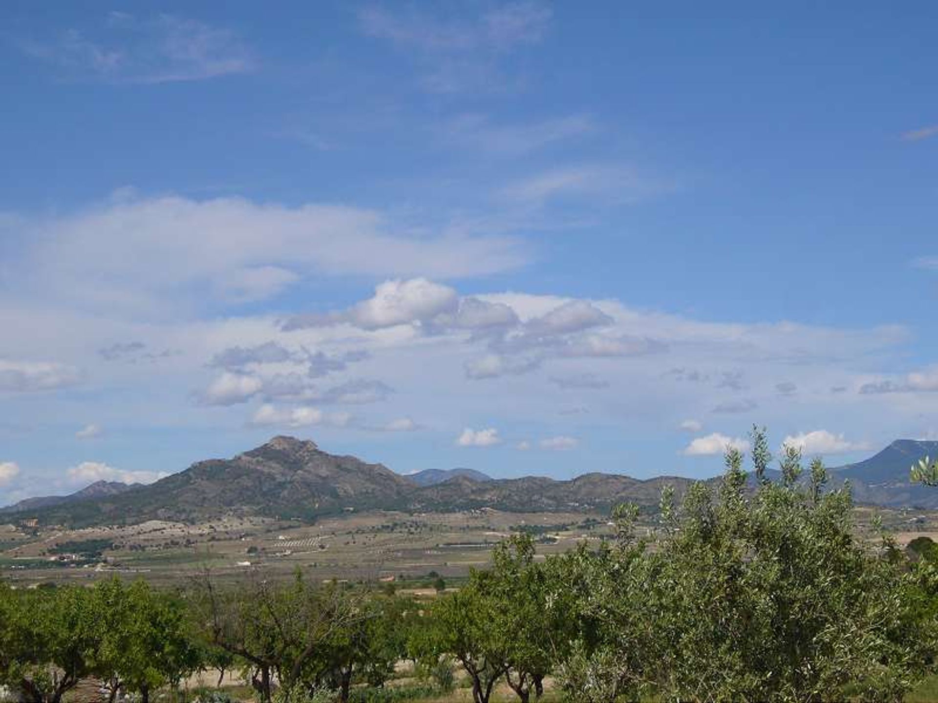 بيت في les Salines d'Elda, Comunidad Valenciana 10722819