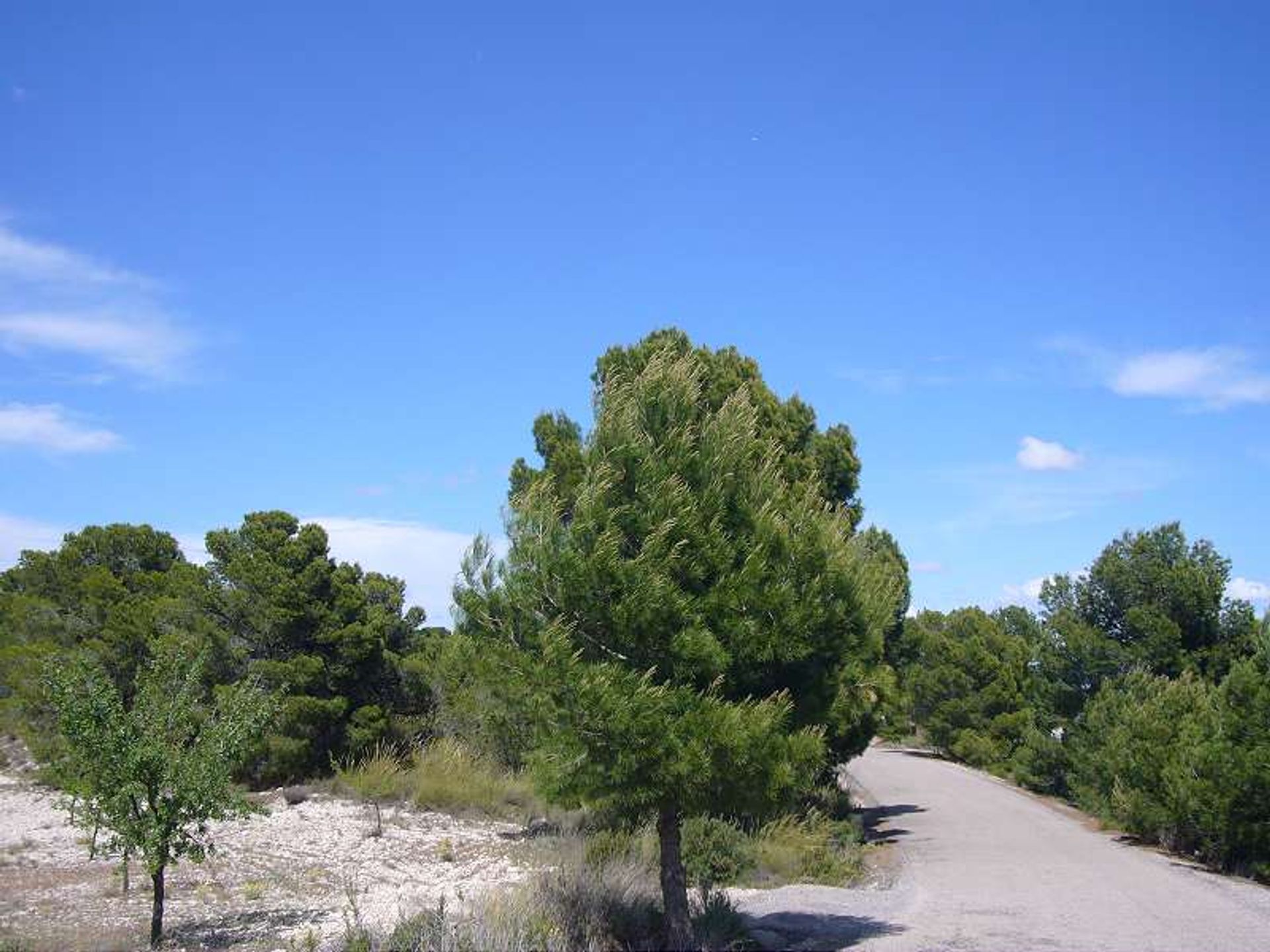 Будинок в les Salines d'Elda, Comunidad Valenciana 10722819