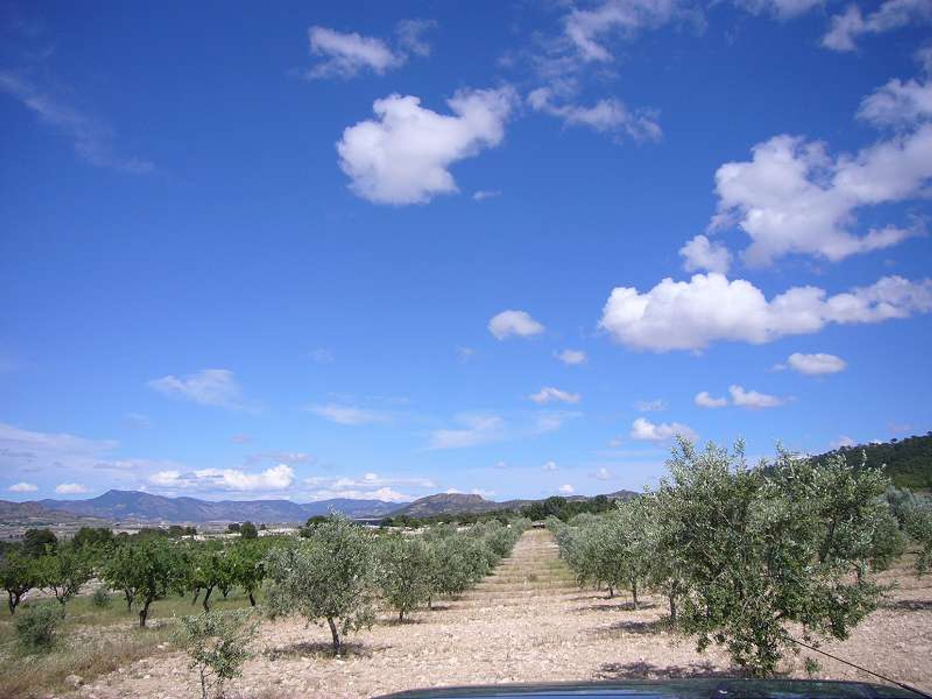 بيت في les Salines d'Elda, Comunidad Valenciana 10722819