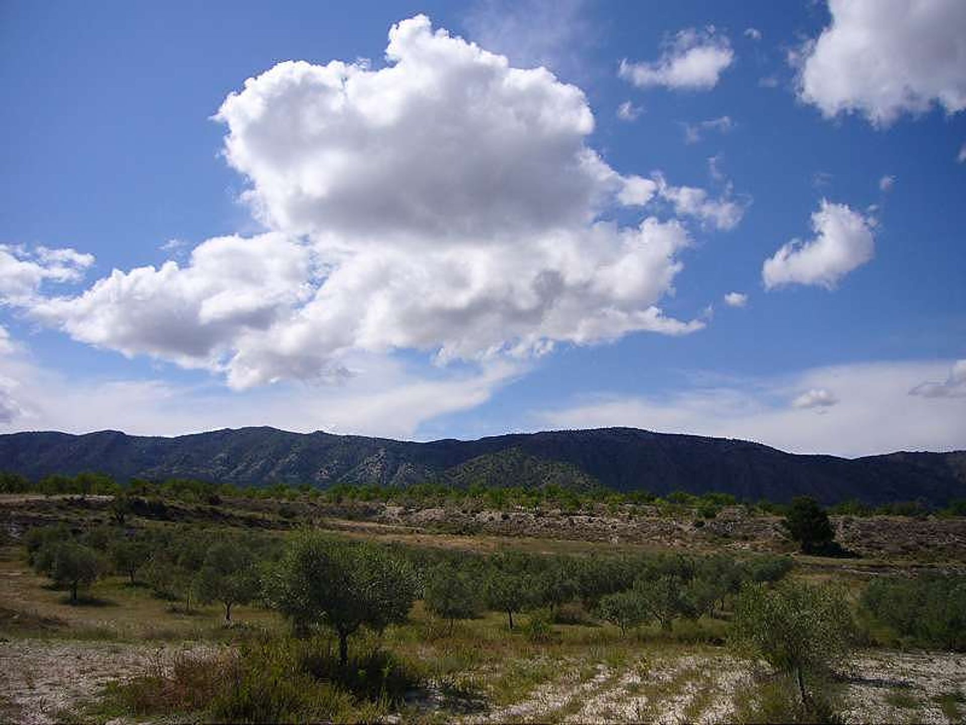 Будинок в les Salines d'Elda, Comunidad Valenciana 10722819