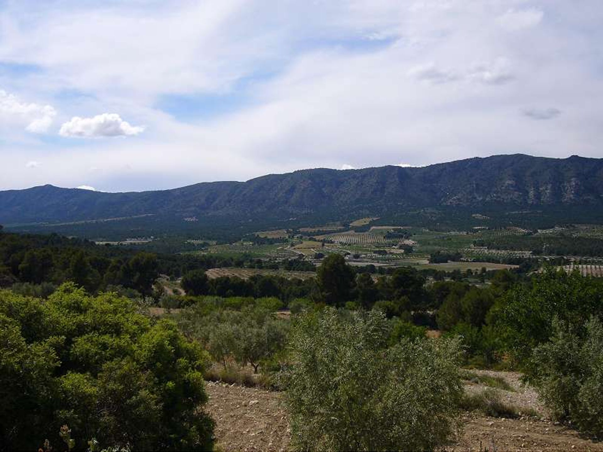 Hus i les Salines d'Elda, Comunidad Valenciana 10722819