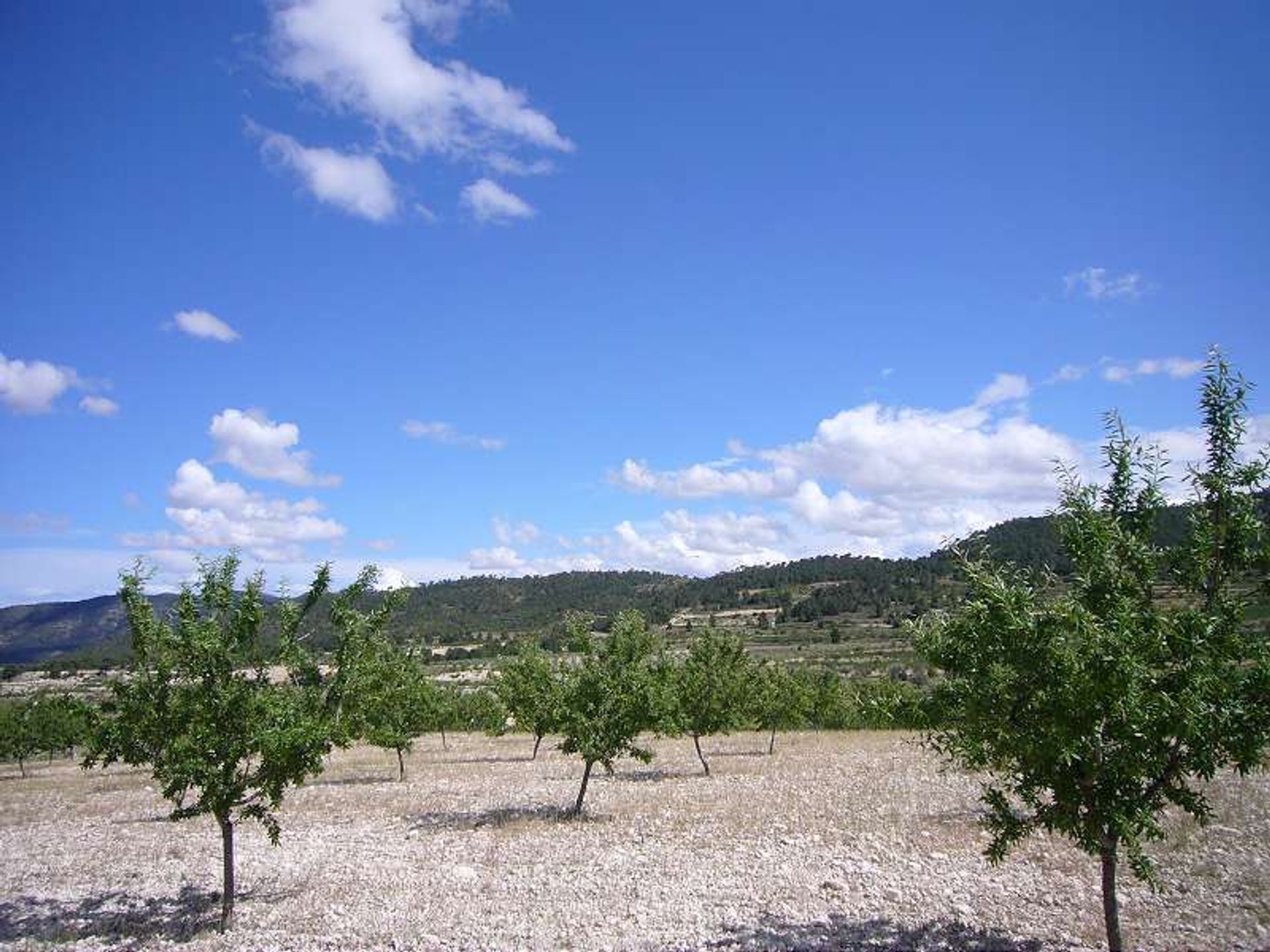 Будинок в les Salines d'Elda, Comunidad Valenciana 10722819