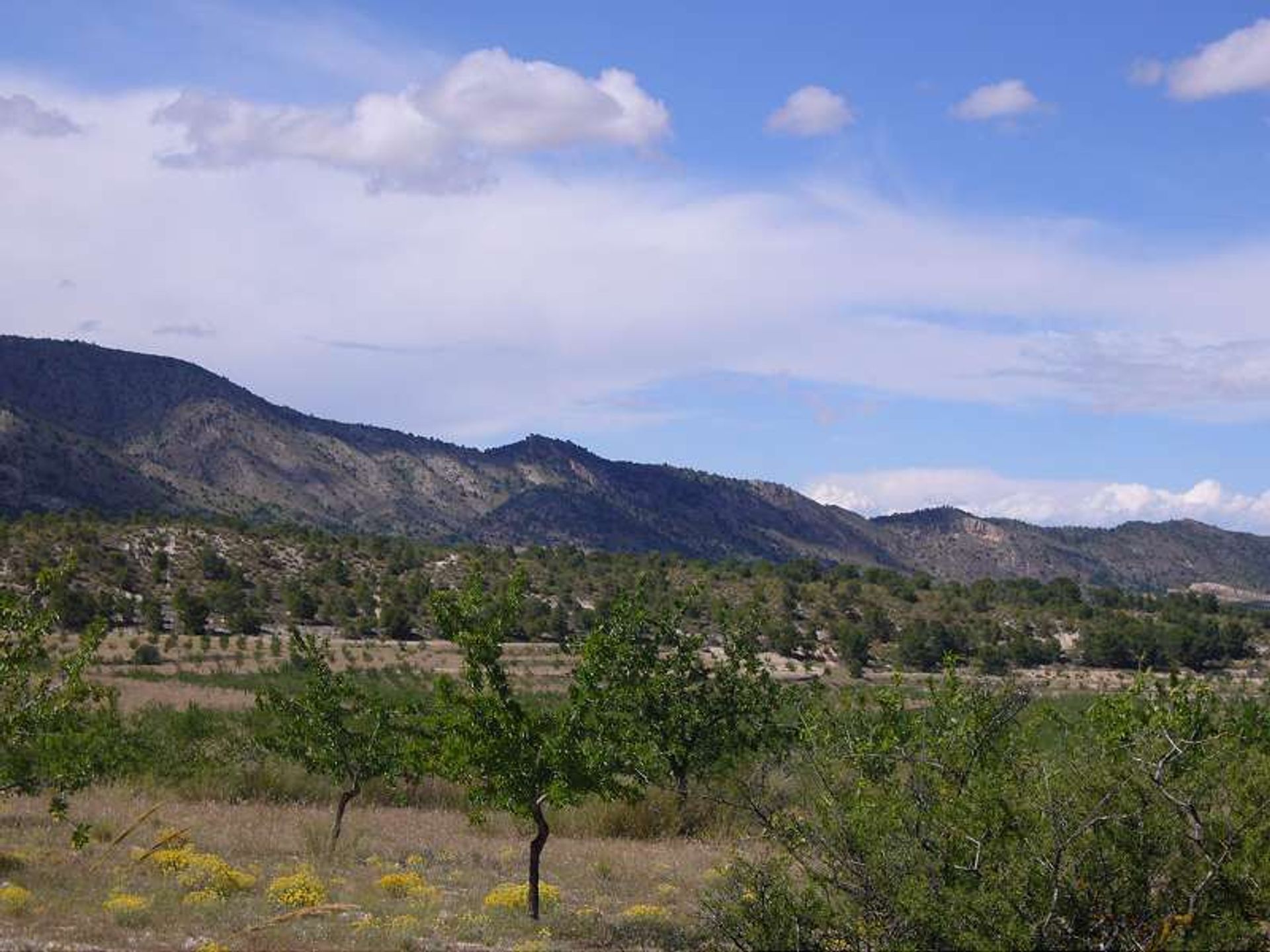 Hus i les Salines d'Elda, Comunidad Valenciana 10722819