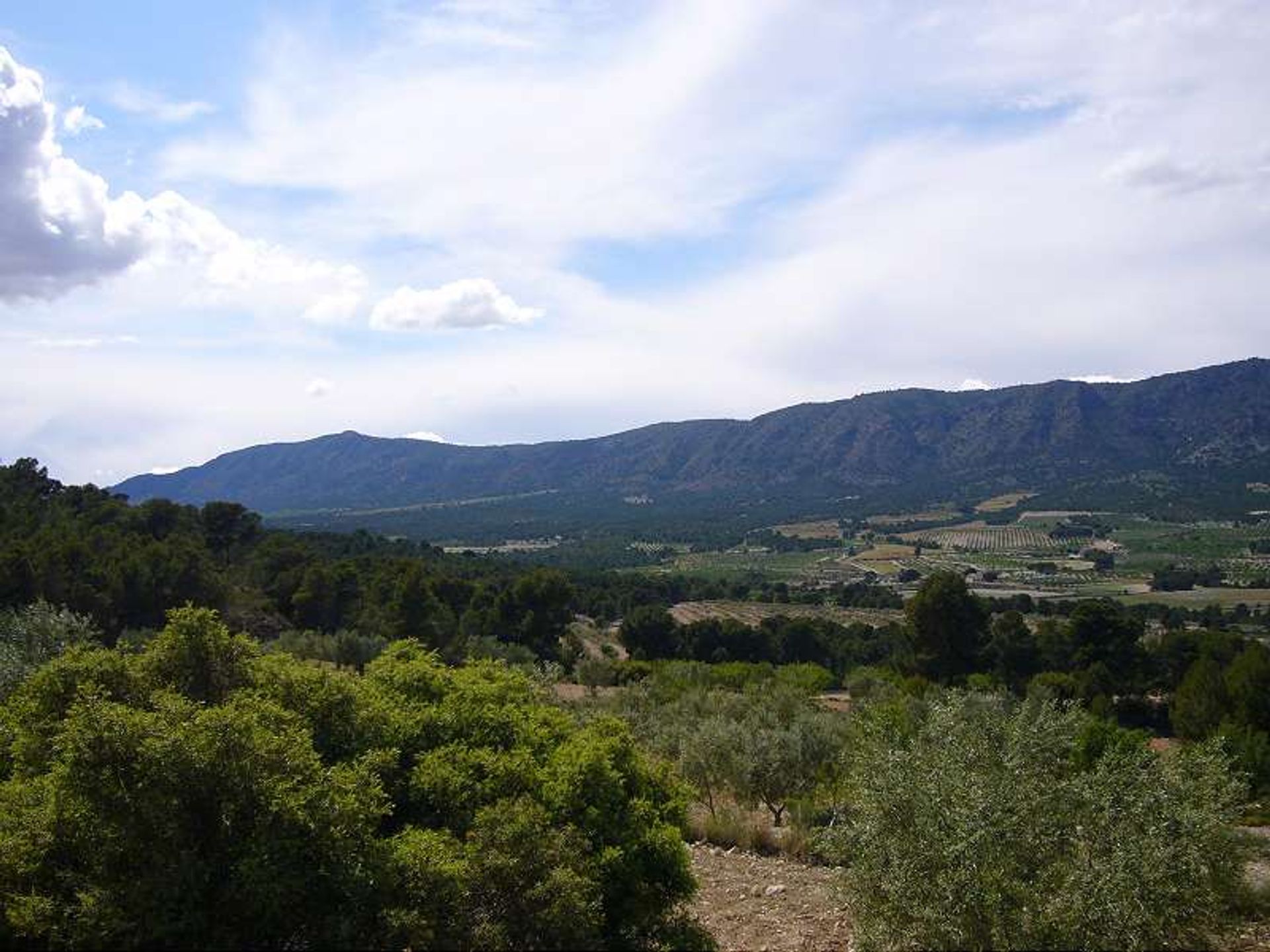 بيت في les Salines d'Elda, Comunidad Valenciana 10722819