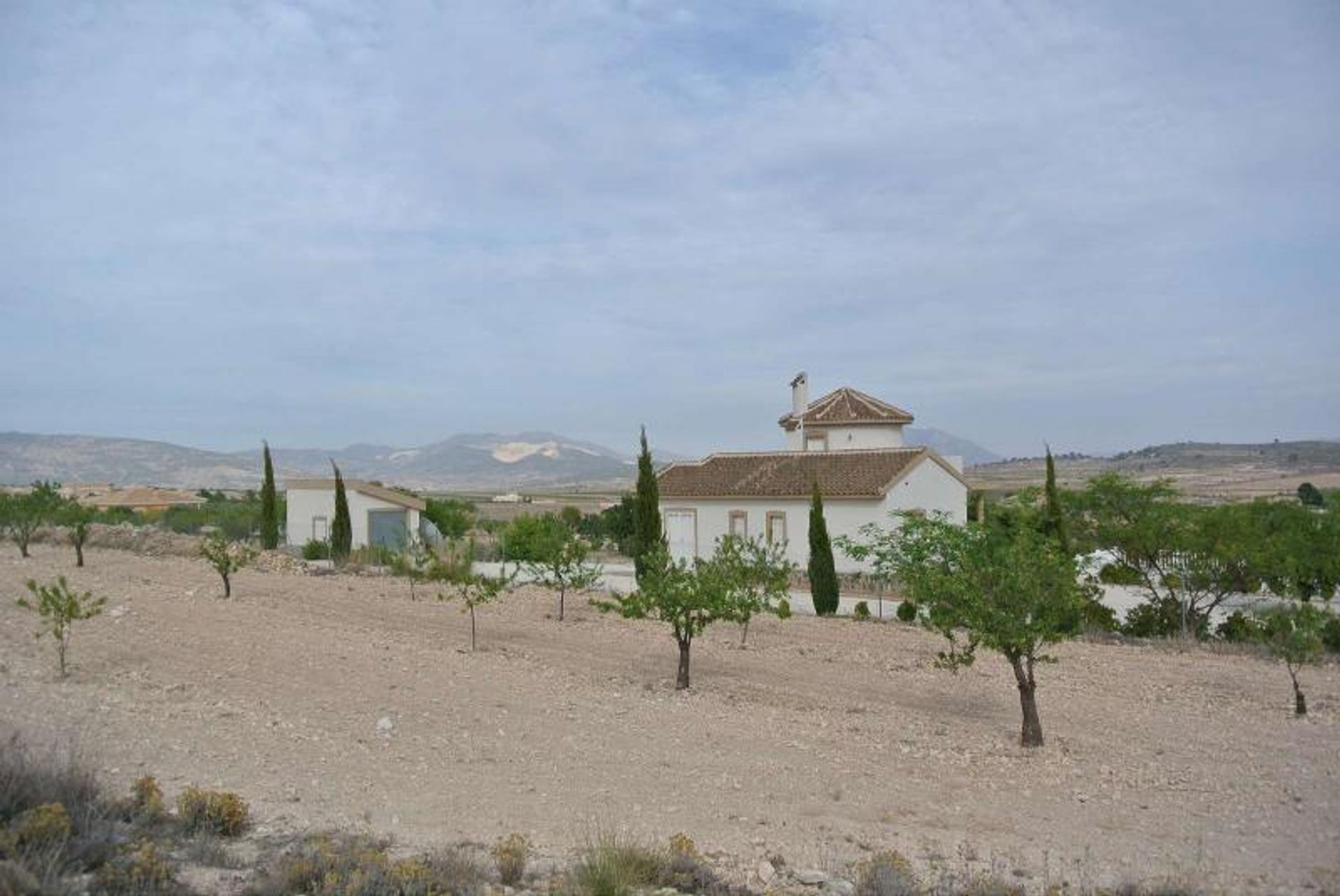 Tanah dalam Jumilla, Murcia 10722848