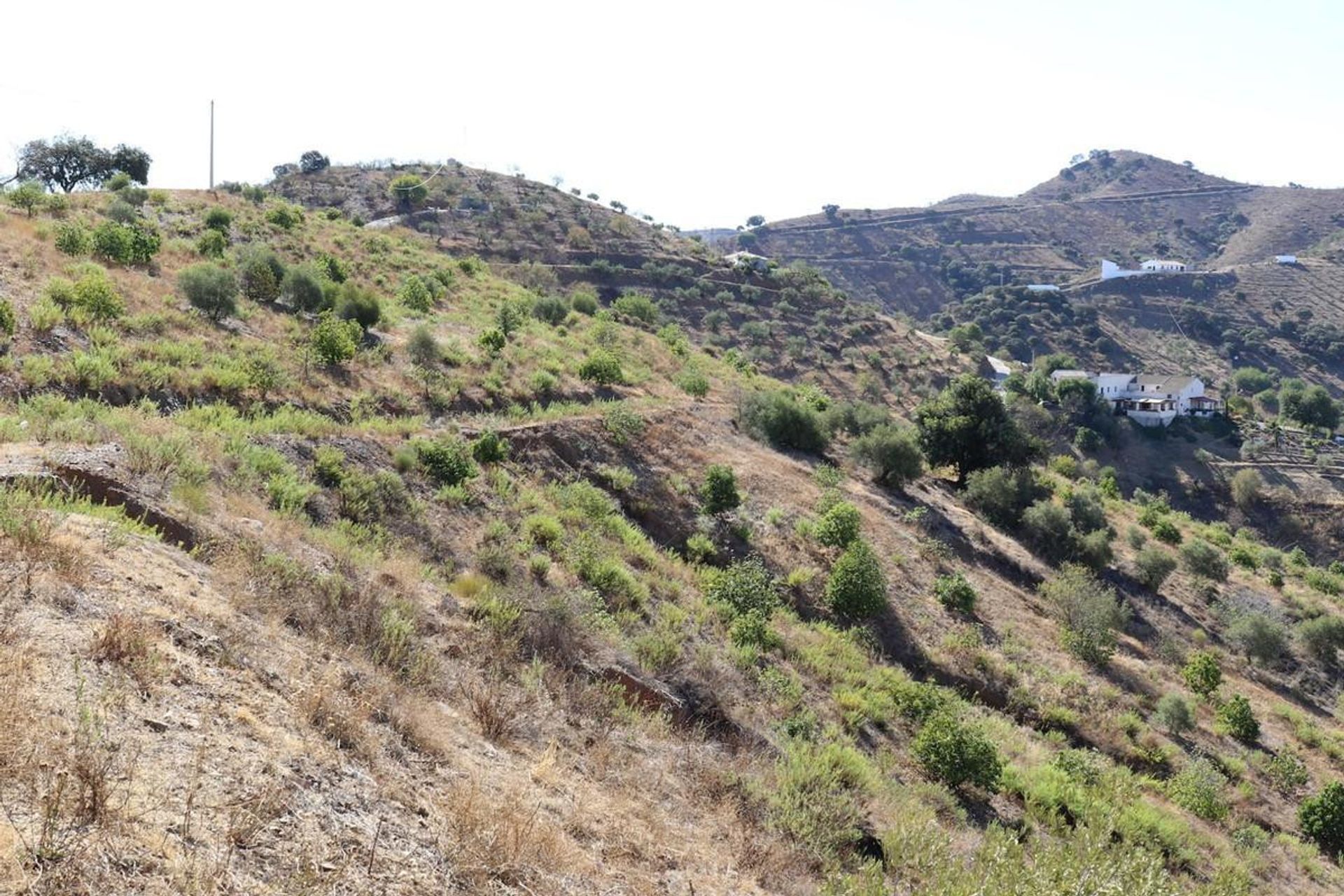 土地 在 Álora, Andalucía 10722853