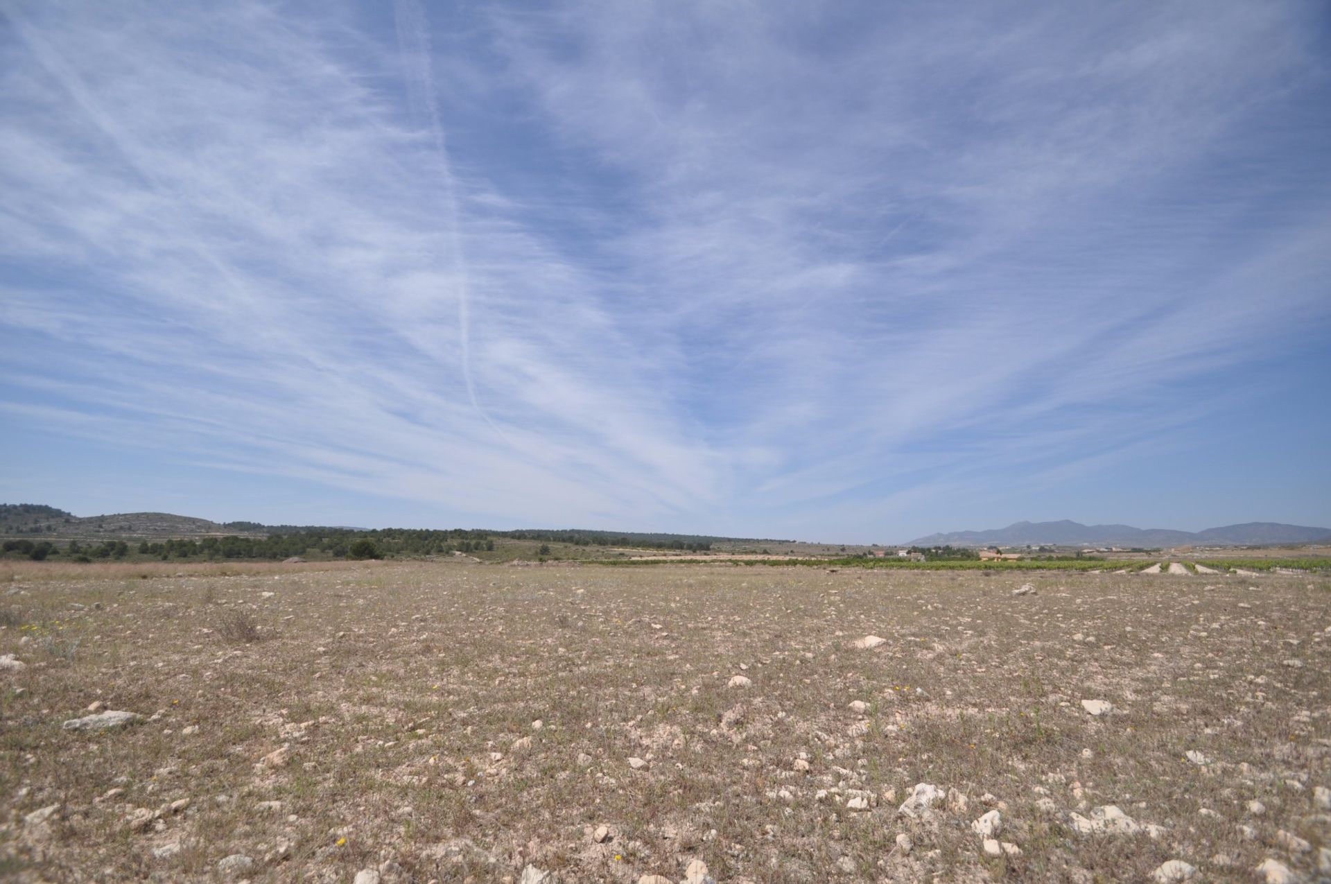 Tierra en pinoso, Valencia 10722880