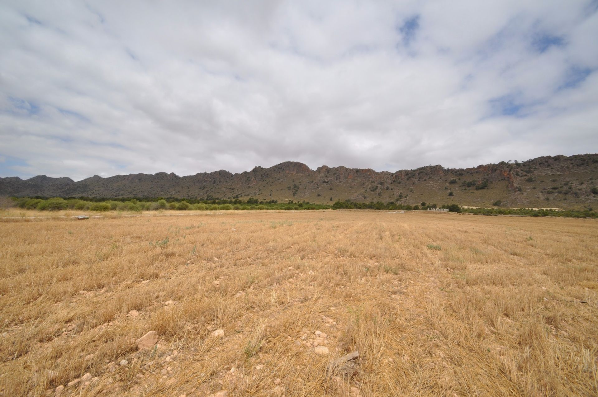 Land im Yecla, Región de Murcia 10722909