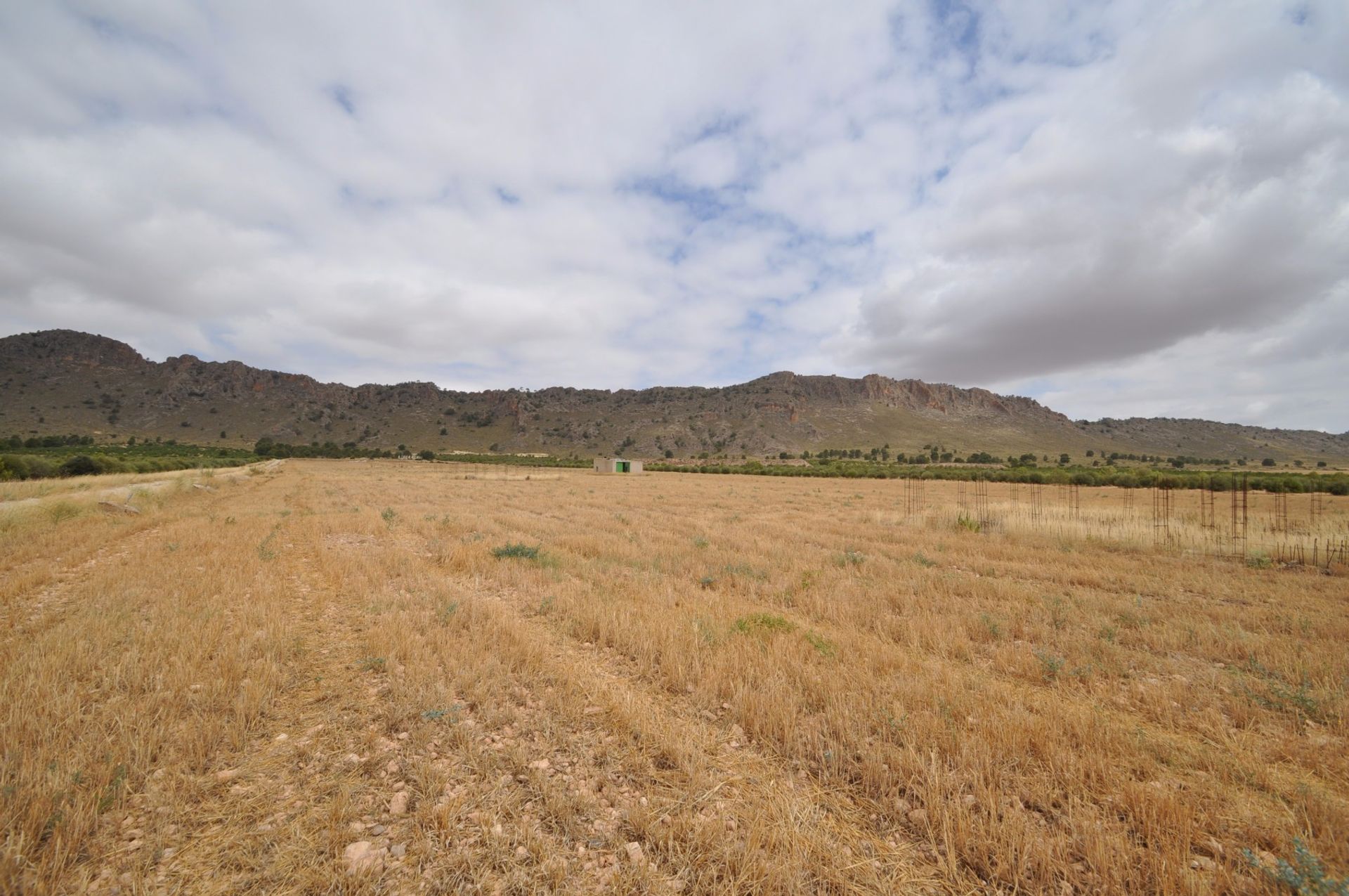 土地 在 Yecla, Región de Murcia 10722909