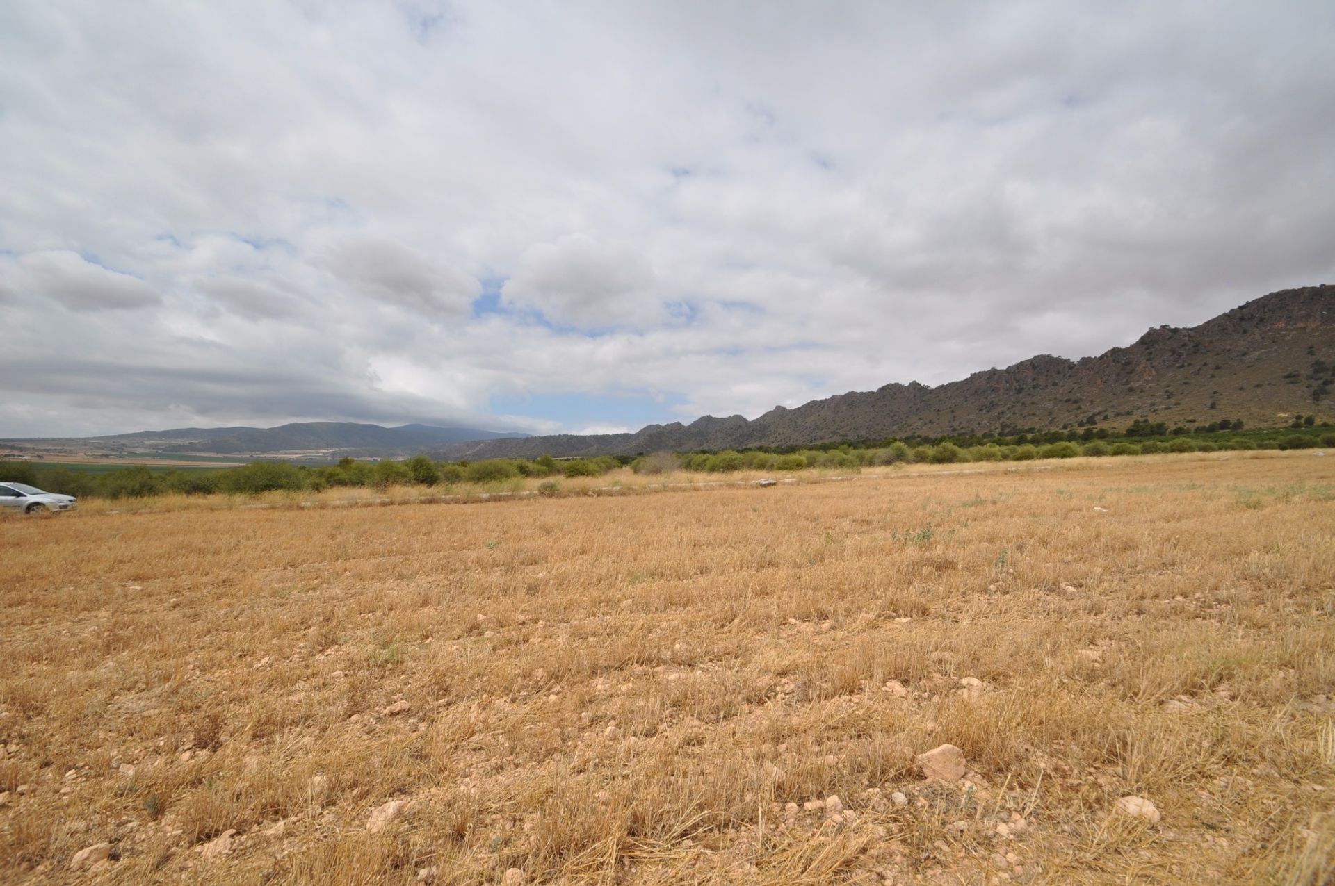 土地 在 Yecla, Región de Murcia 10722909