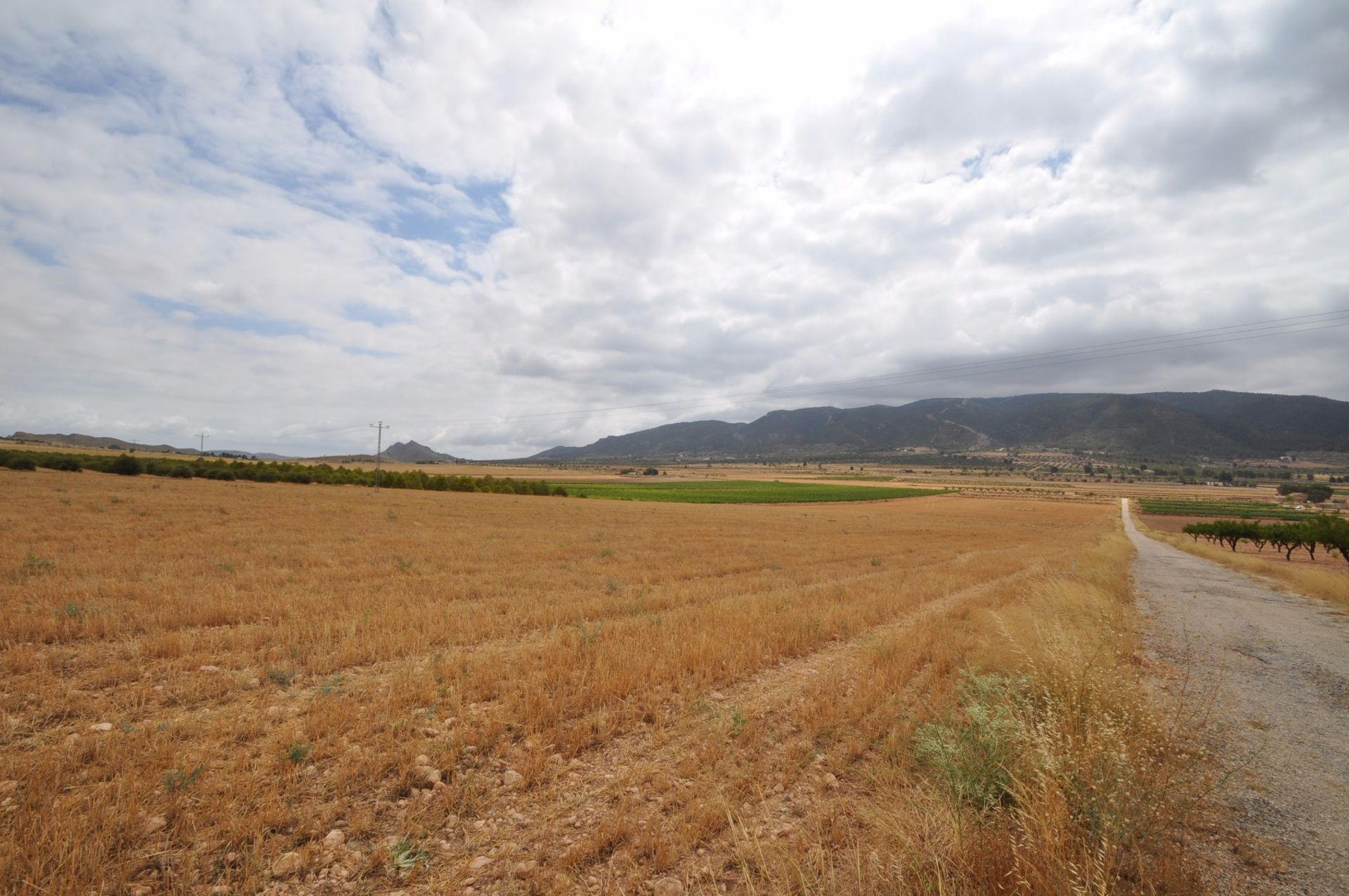 土地 在 Yecla, Región de Murcia 10722909