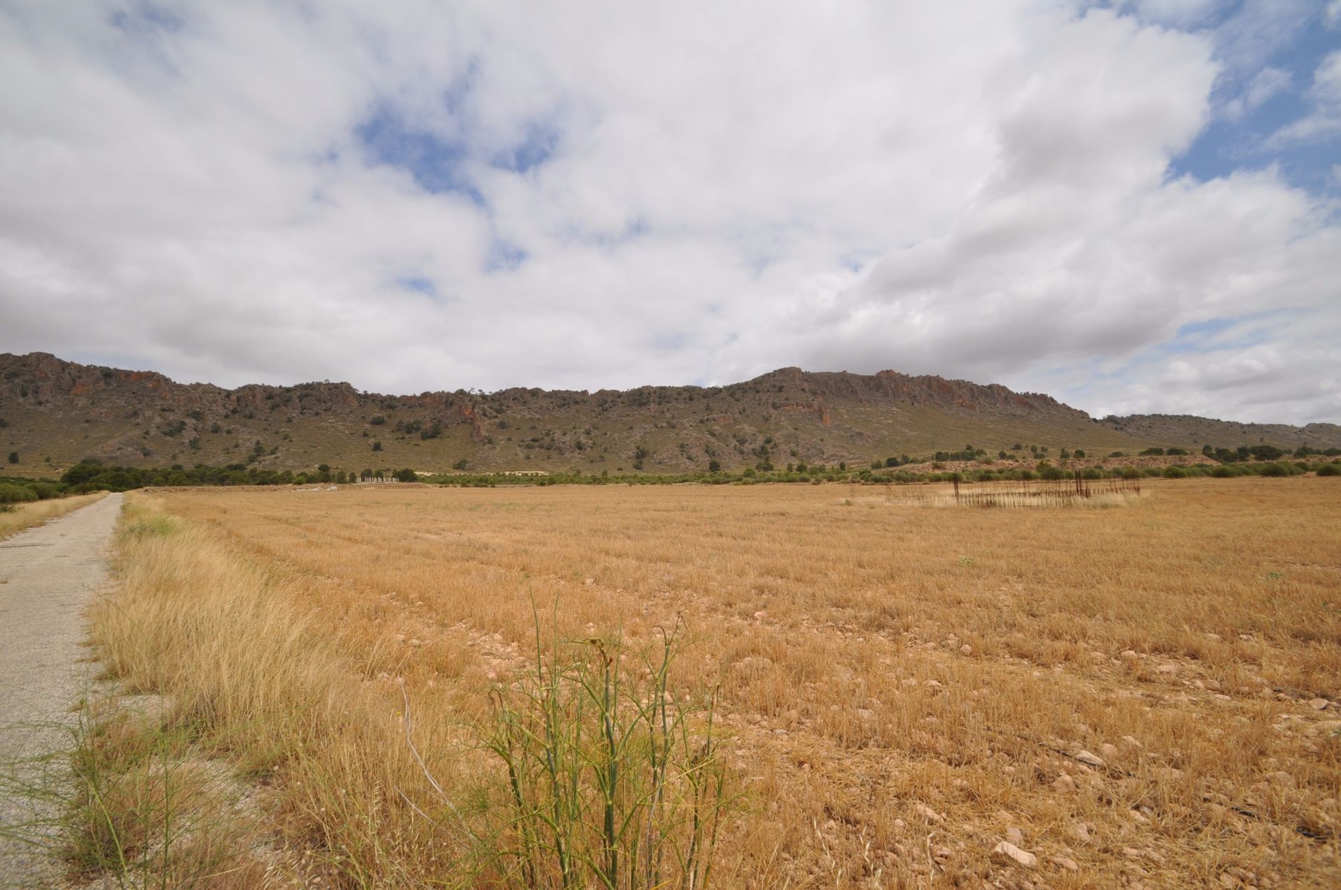 土地 在 Yecla, Región de Murcia 10722909