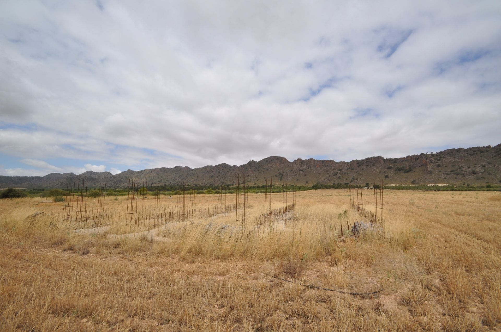 土地 在 Yecla, Región de Murcia 10722909