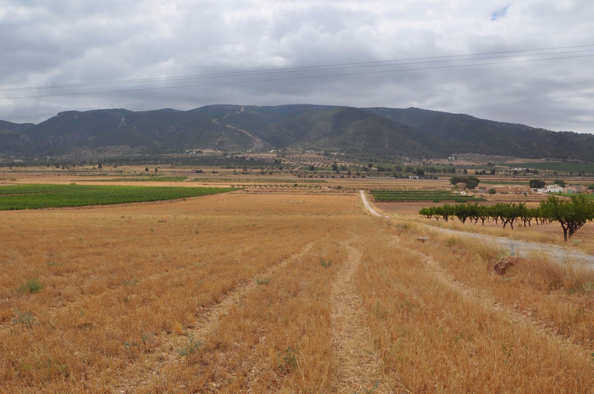 土地 在 Yecla, Región de Murcia 10722909