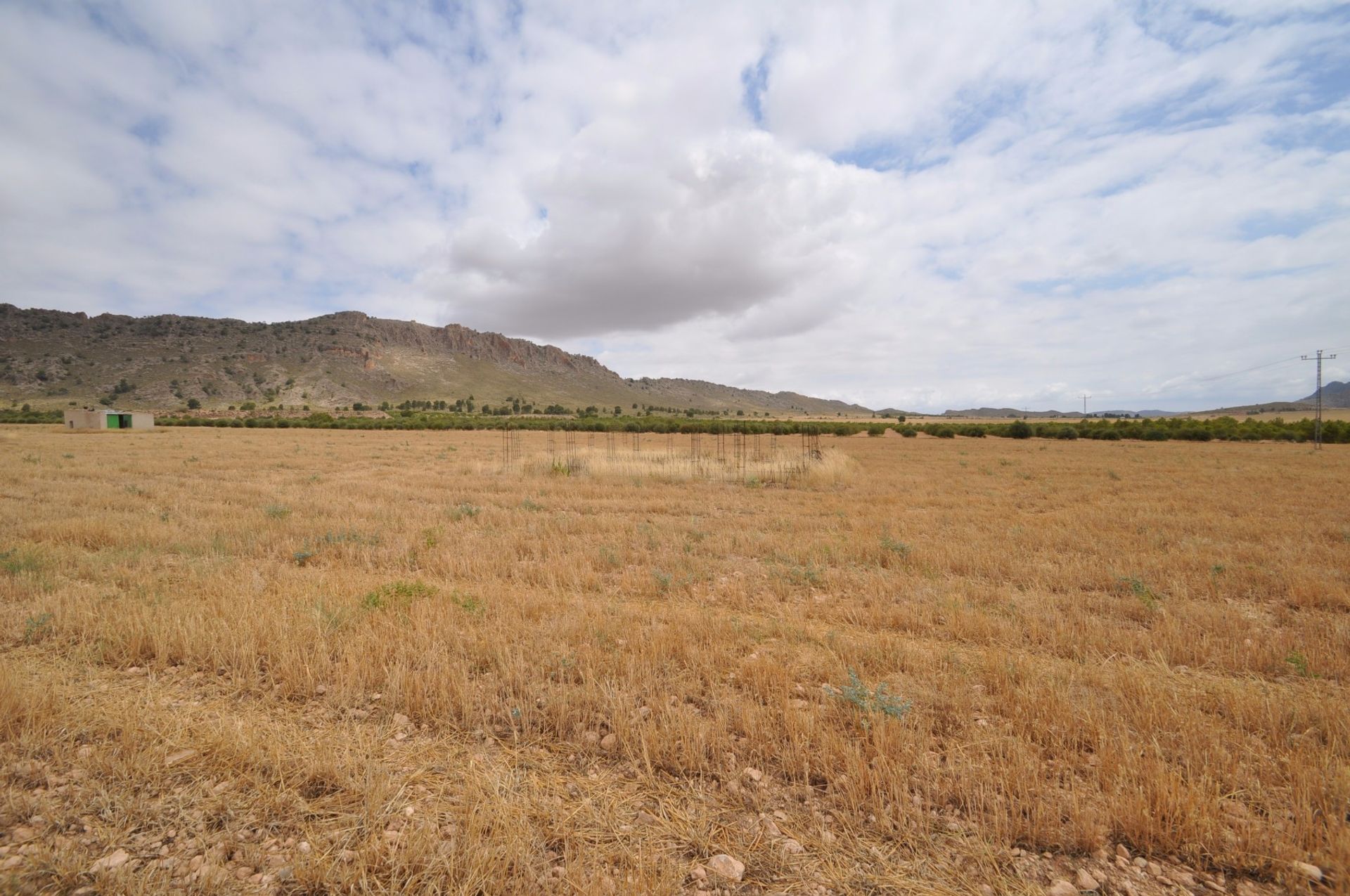 土地 在 Yecla, Región de Murcia 10722909