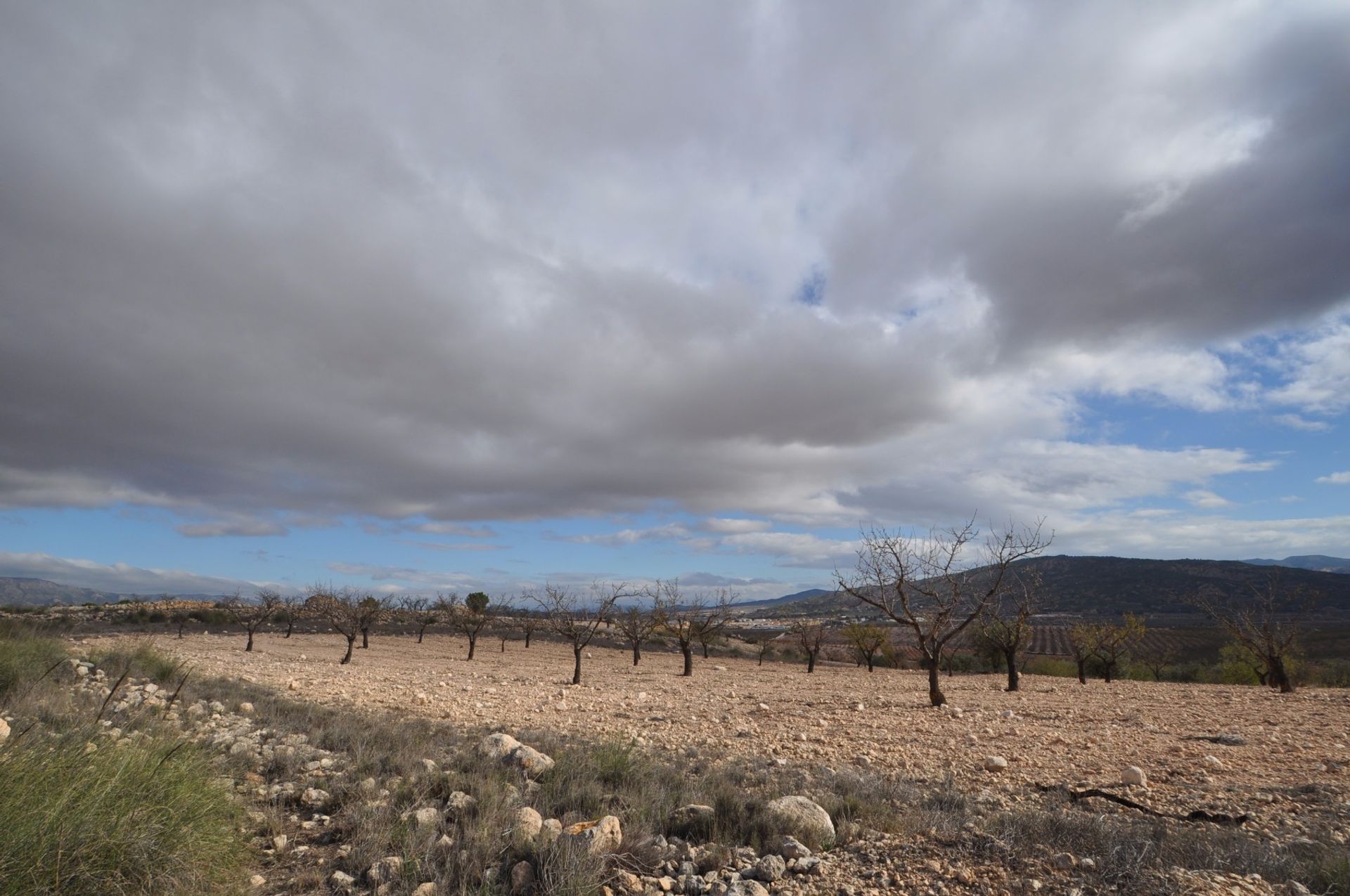 Tierra en pinoso, Valencia 10722935