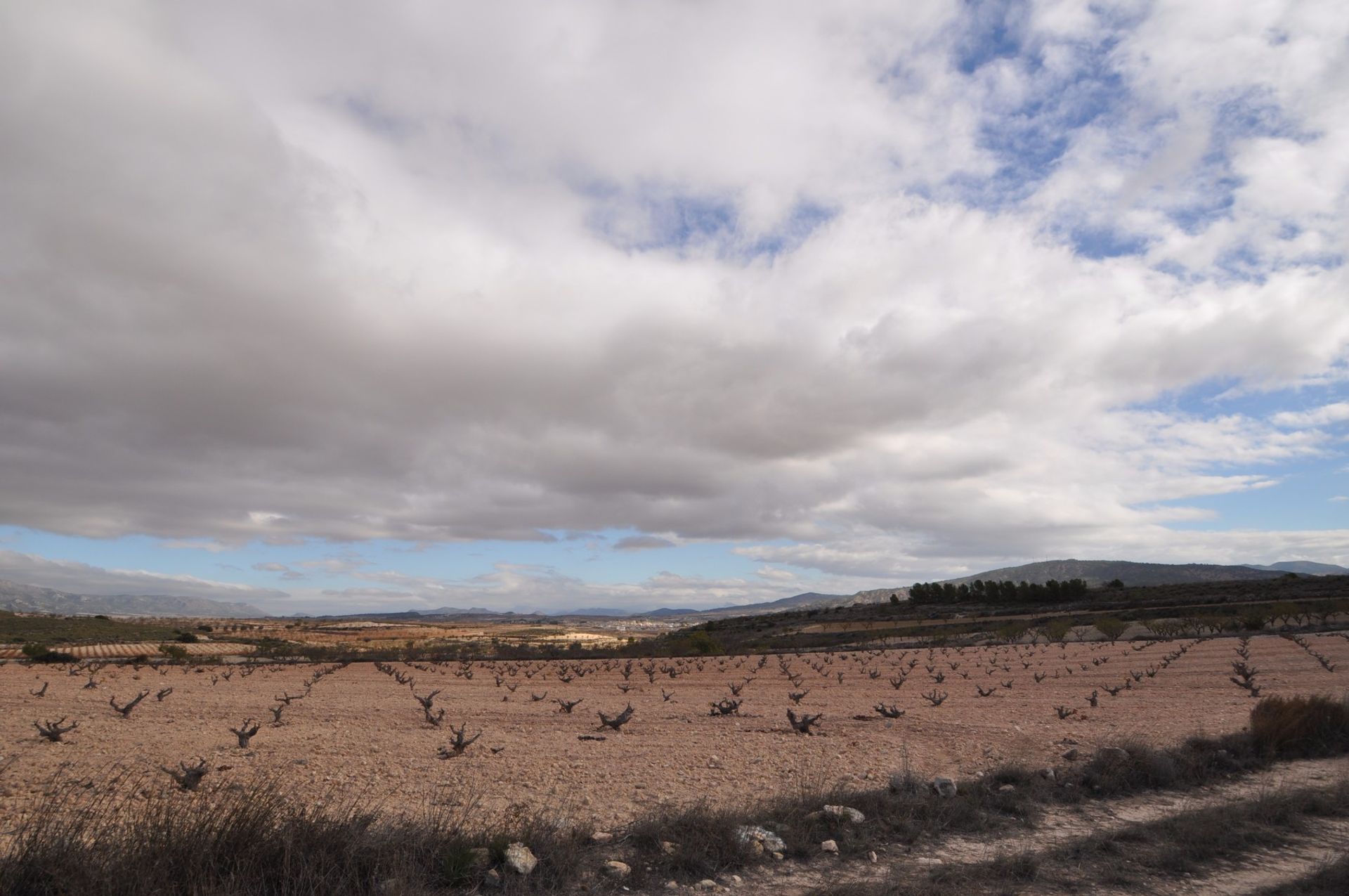 Tanah dalam Pinoso, Comunidad Valenciana 10722935