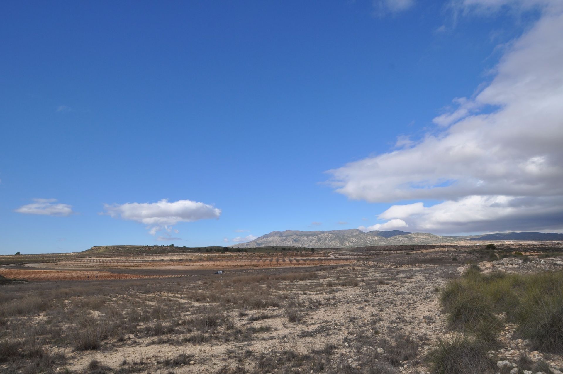 Tierra en pinoso, Valencia 10722935