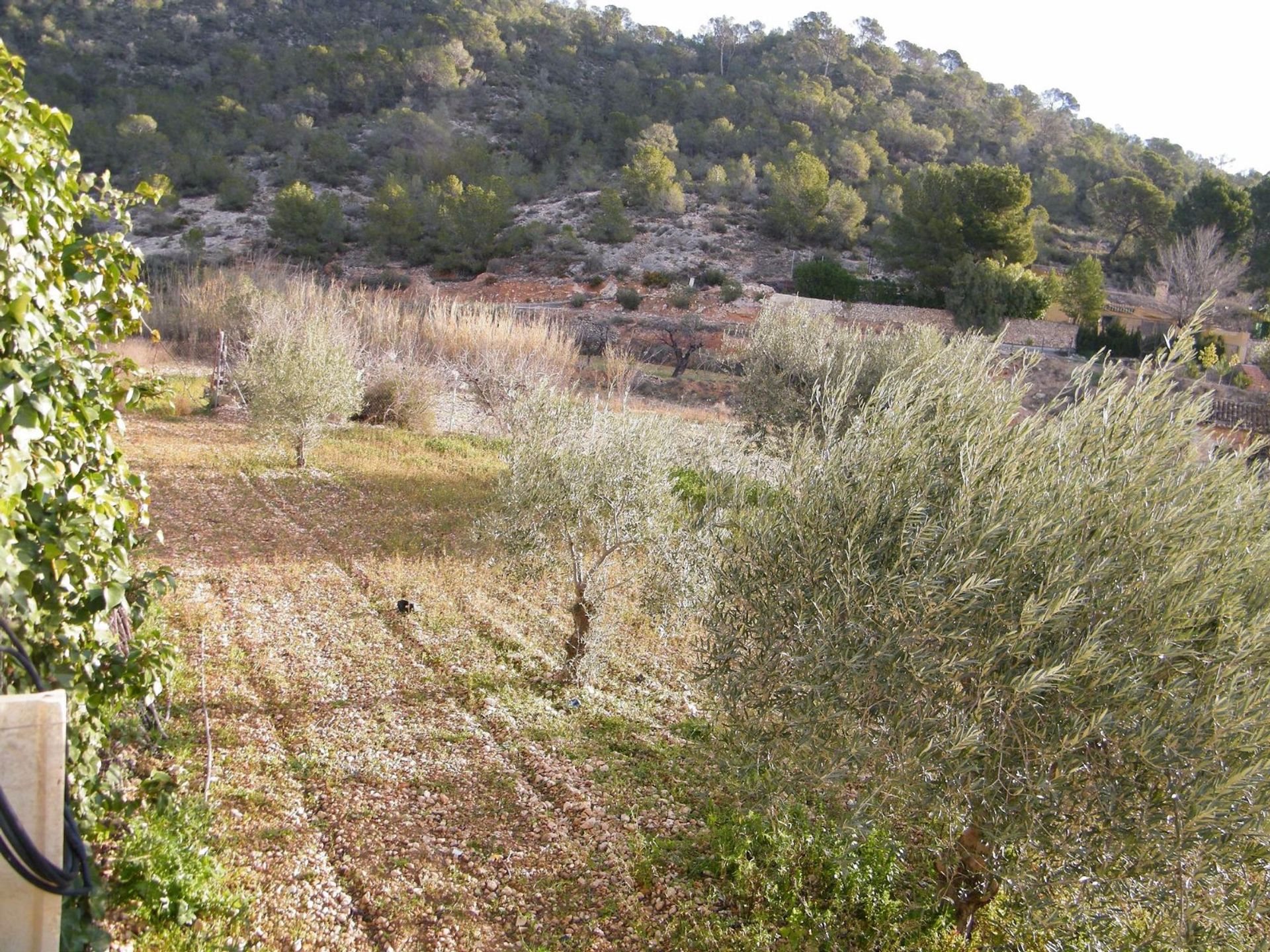 Talo sisään , Comunidad Valenciana 10722959