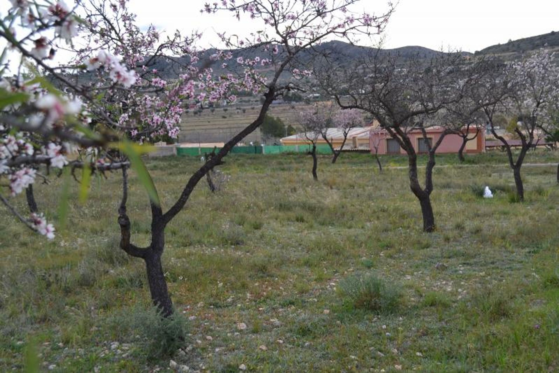 casa no Ofra, Valência 10722972