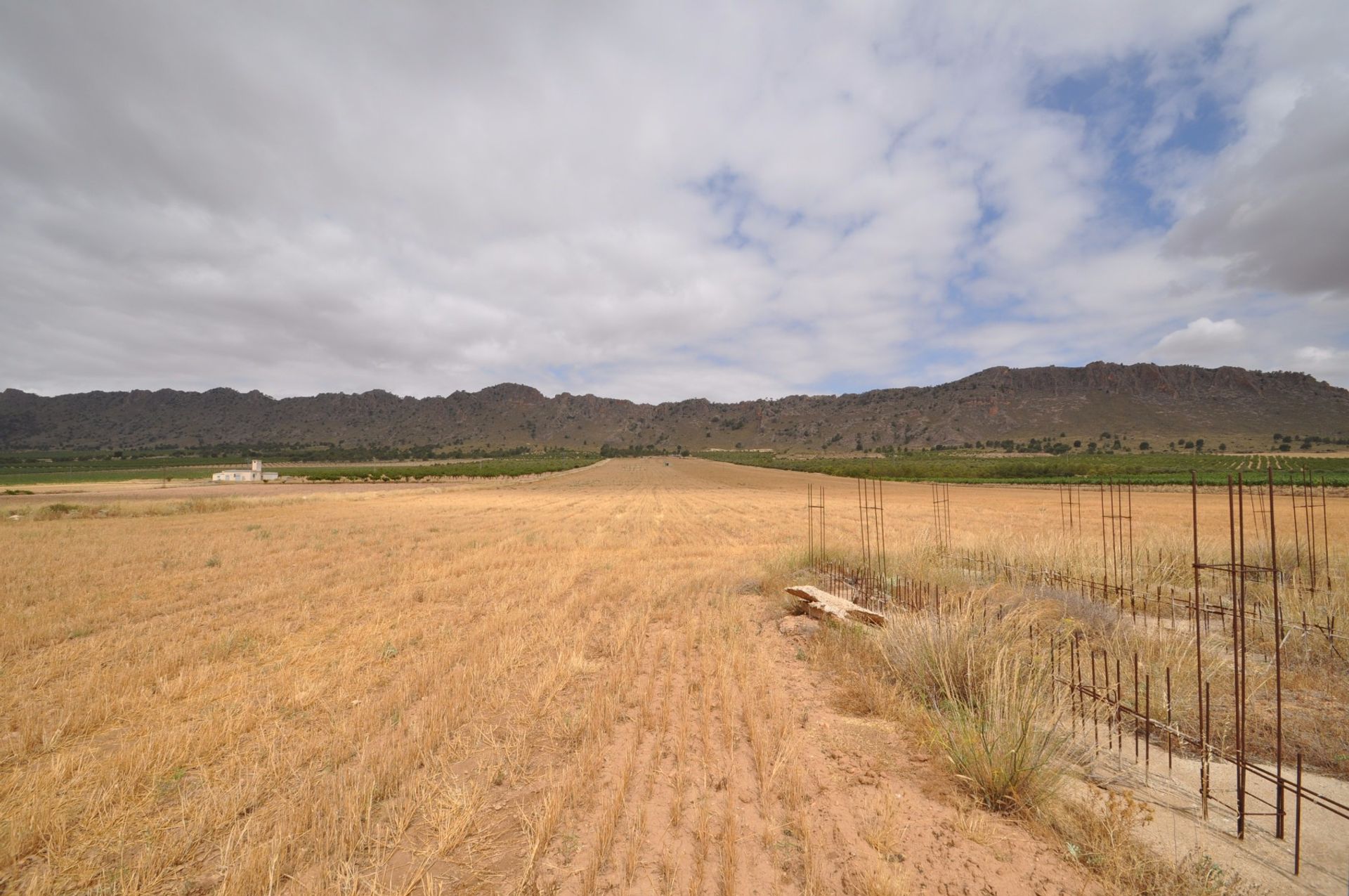 Tierra en Yecla, Región de Murcia 10723006