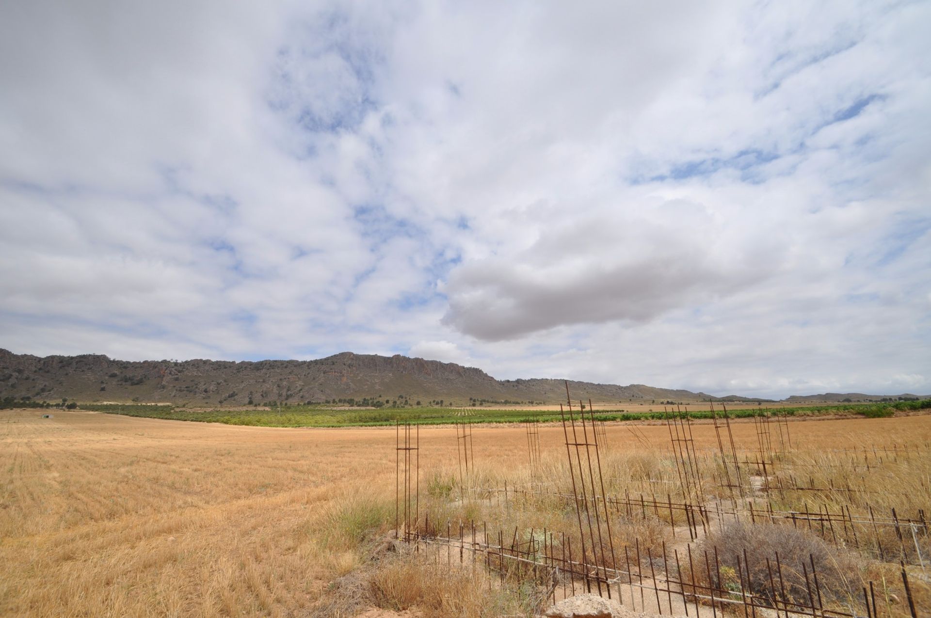 Tierra en Yecla, Región de Murcia 10723006