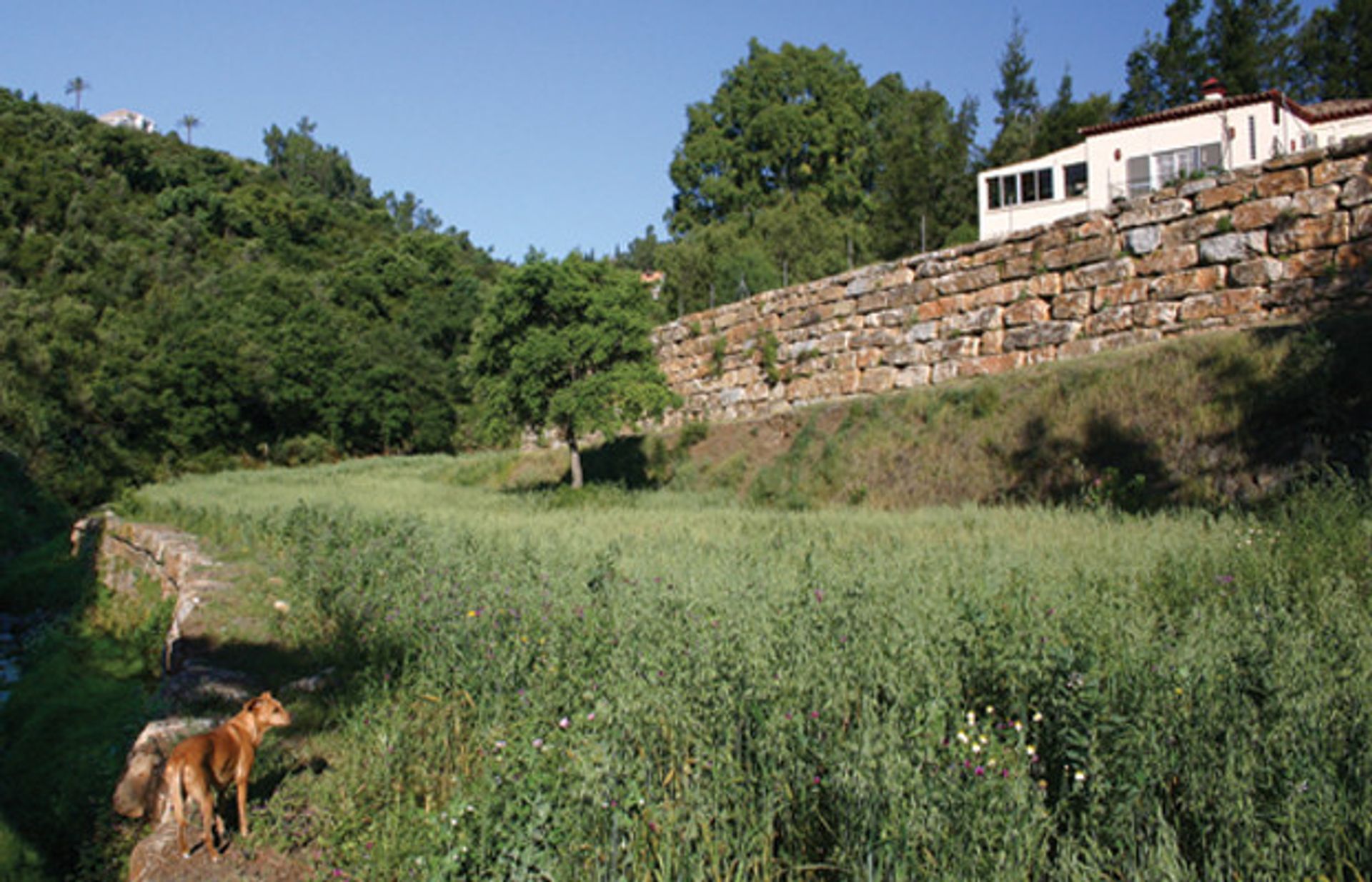 Rumah di Benahavís, Andalucía 10723043