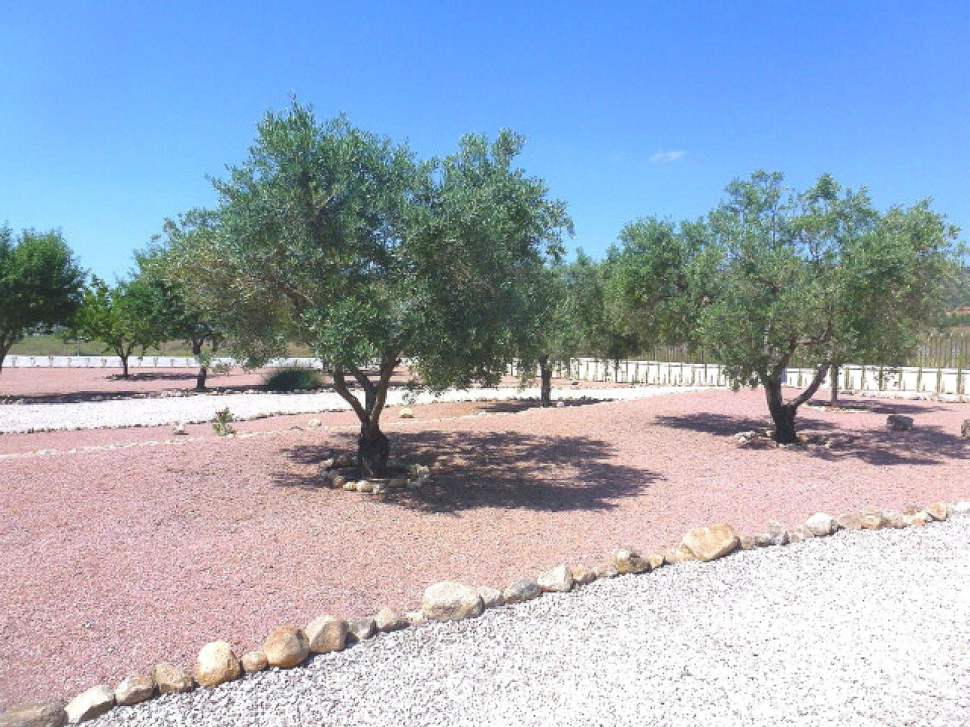 casa en les Salines d'Elda, Comunidad Valenciana 10723061