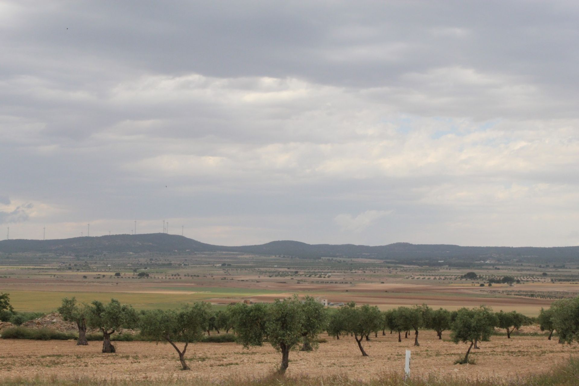 жилой дом в Yecla, Región de Murcia 10723114