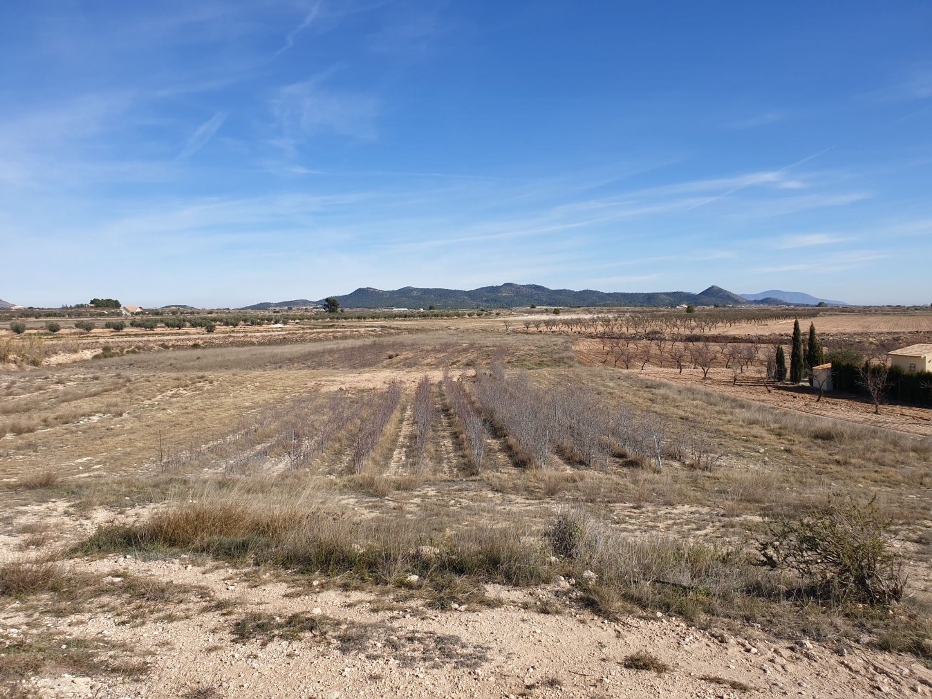 Tanah di Pinoso, Comunidad Valenciana 10723146