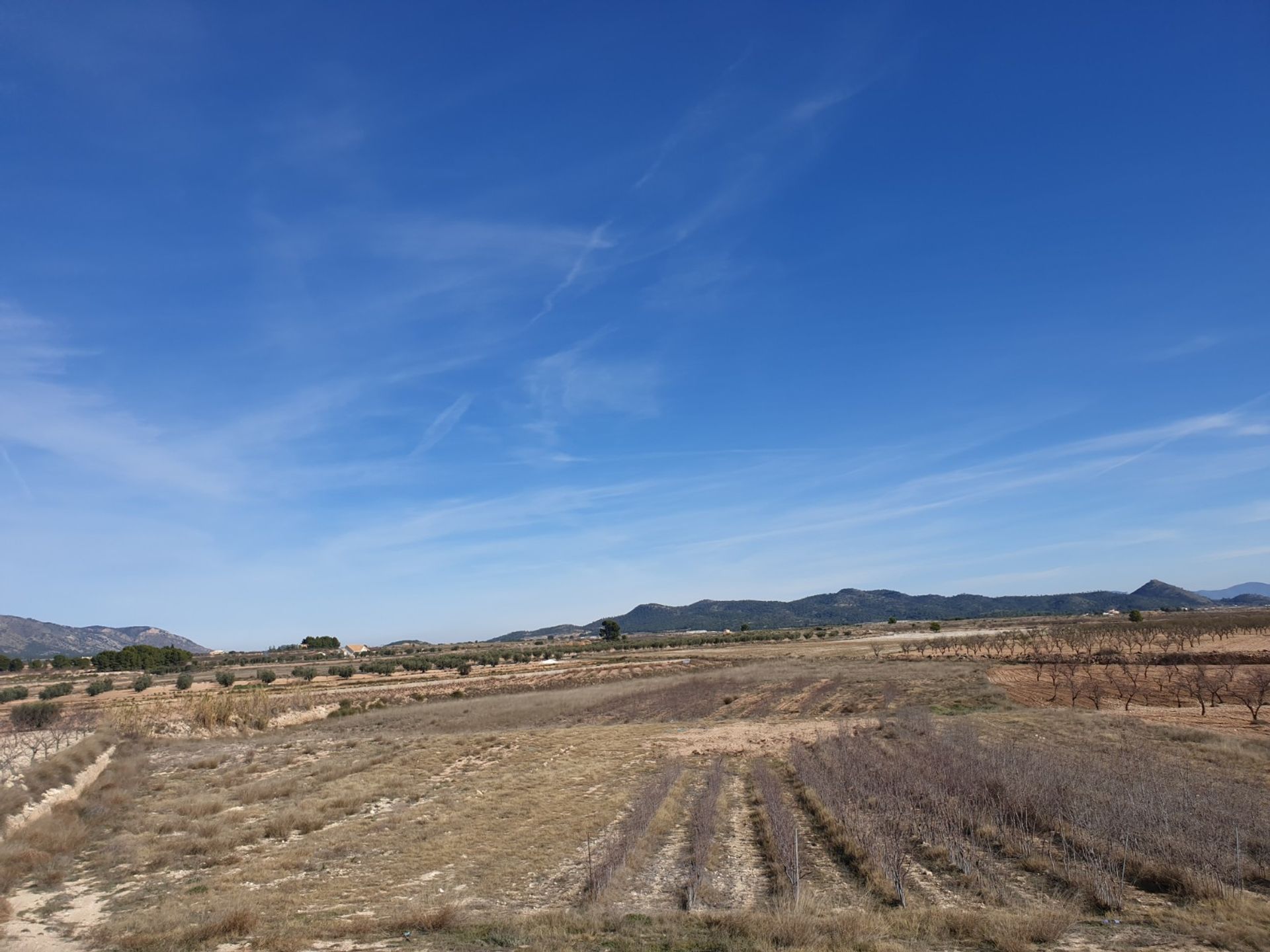 Tanah di Pinoso, Comunidad Valenciana 10723146