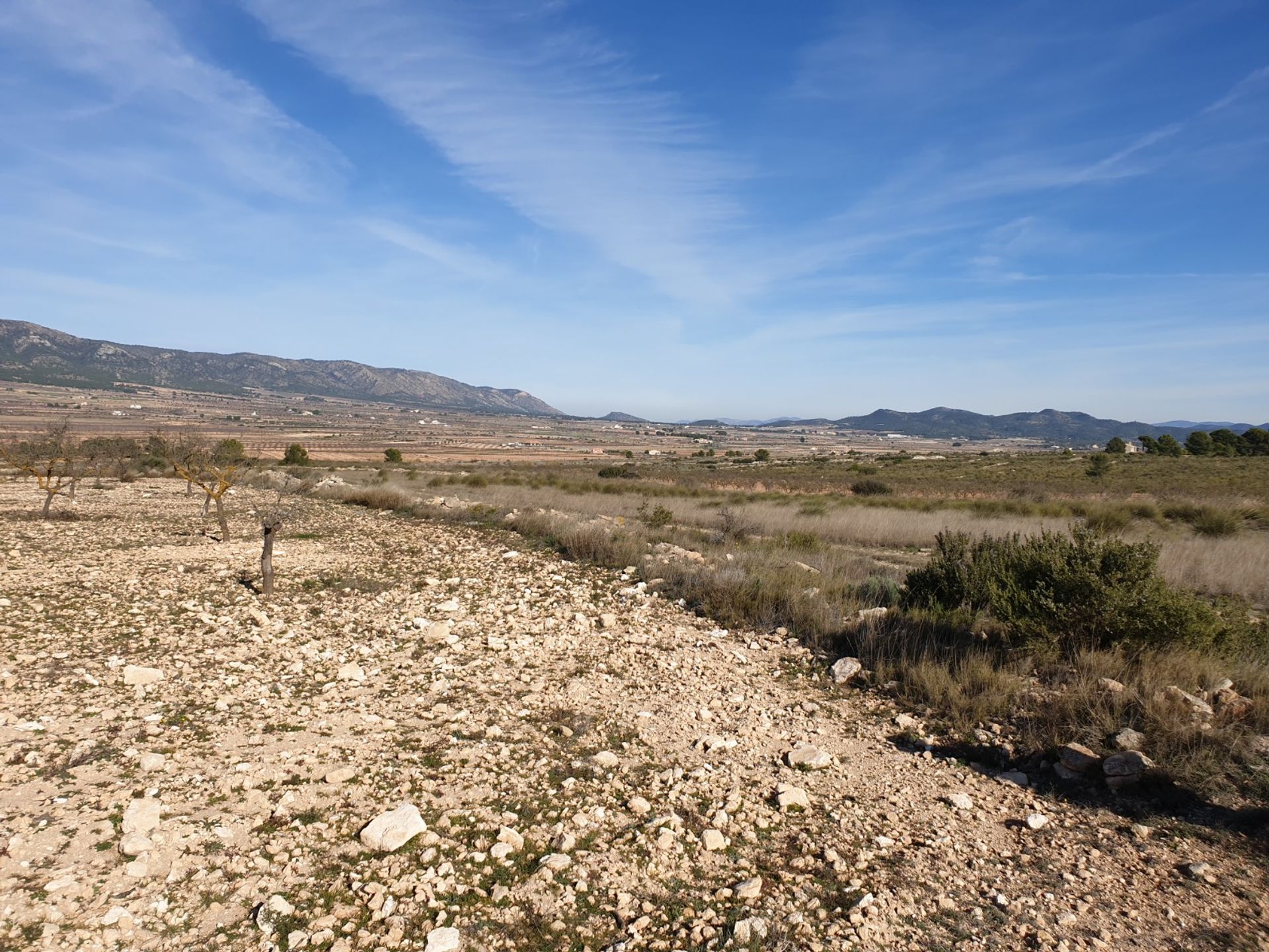 Tanah dalam Pinoso, Comunidad Valenciana 10723153