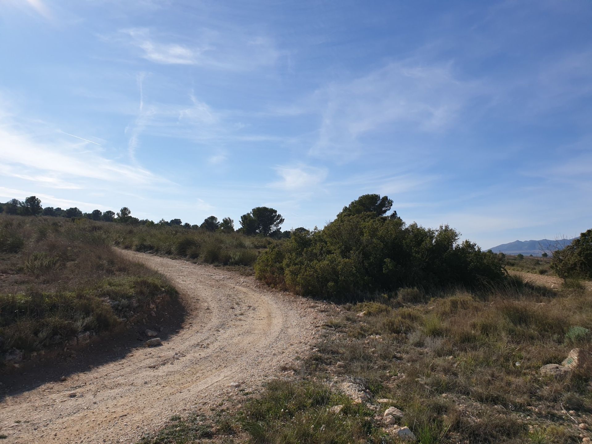 Tierra en Pinoso, Comunidad Valenciana 10723153