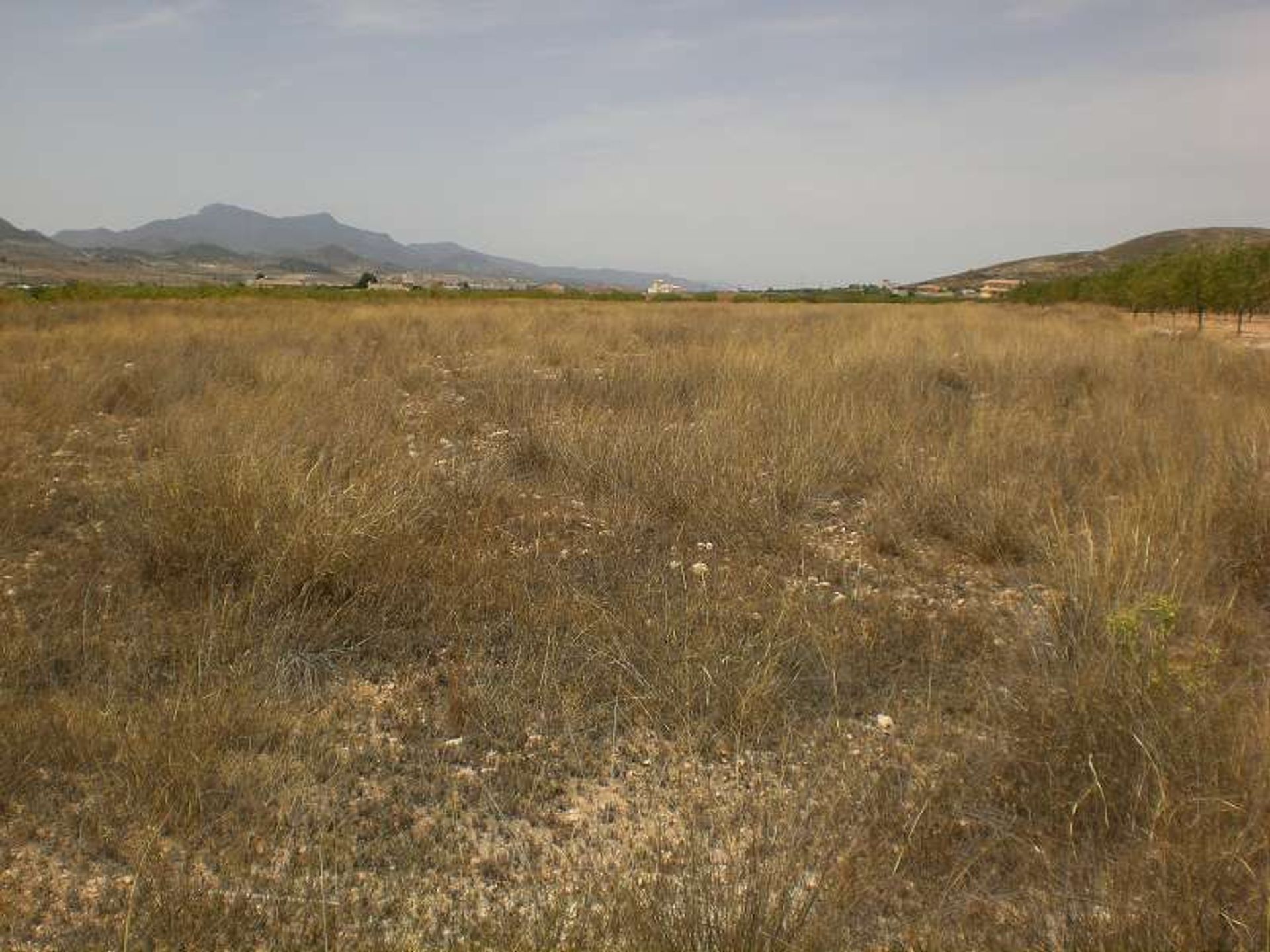 Land in Pinoso, Valencia 10723171