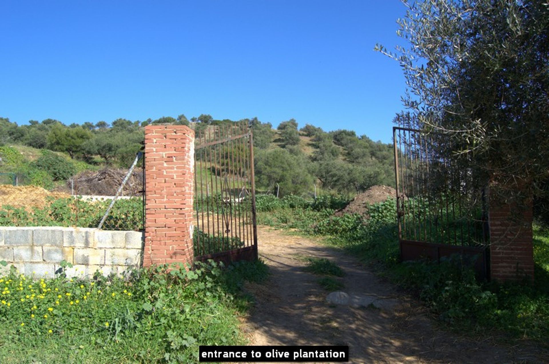 房子 在 Ronda, Andalucía 10723268