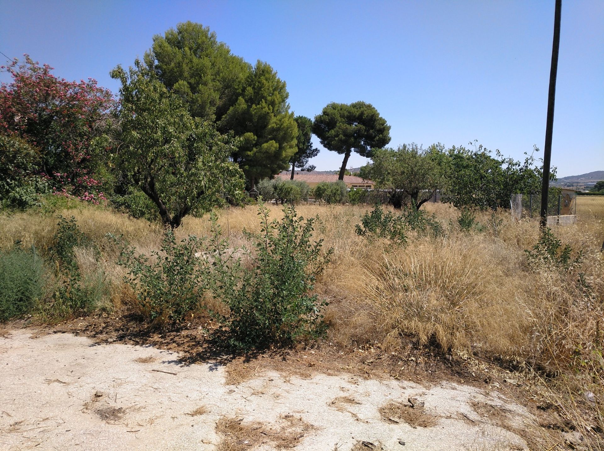 Casa nel Yecla, Región de Murcia 10723275