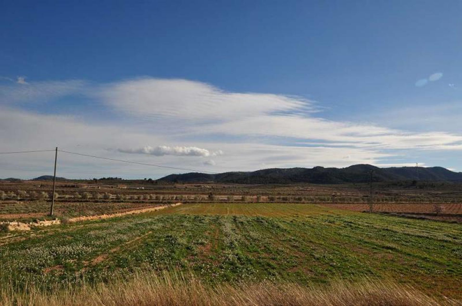 Haus im Jumilla, Región de Murcia 10723281