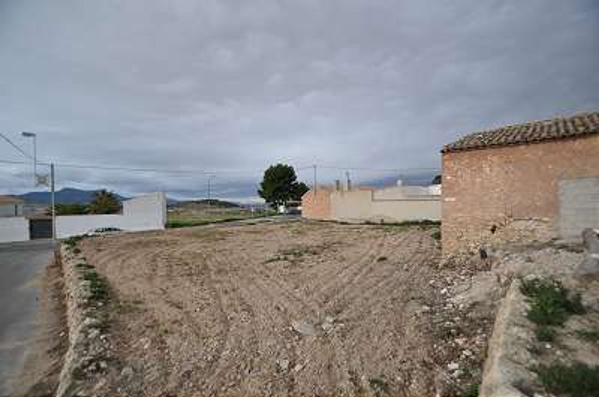 Land in Pinoso, Valencia 10723288