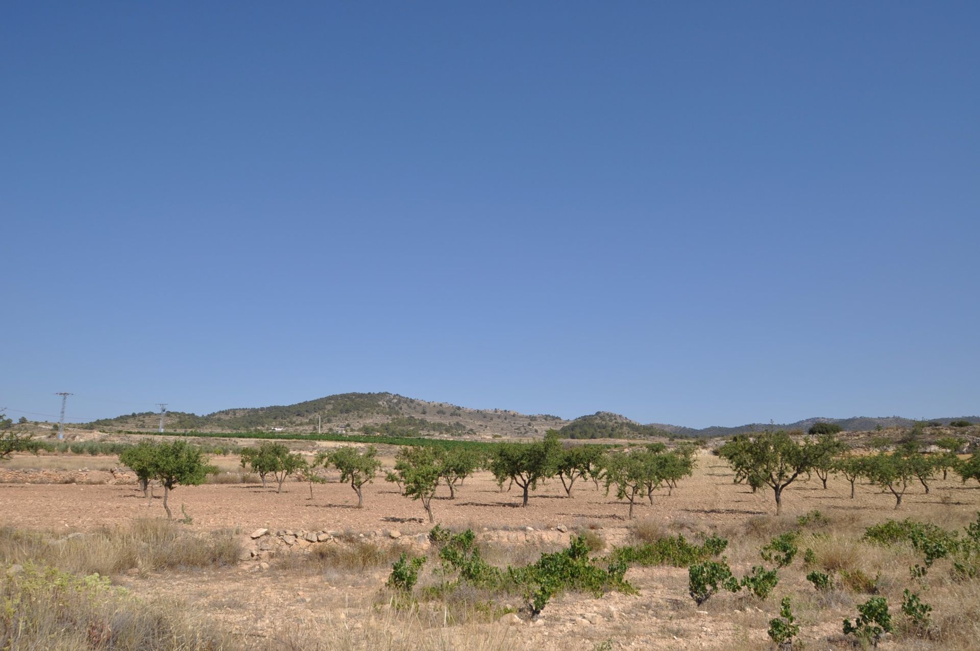 Tierra en Pinoso, Comunidad Valenciana 10723293