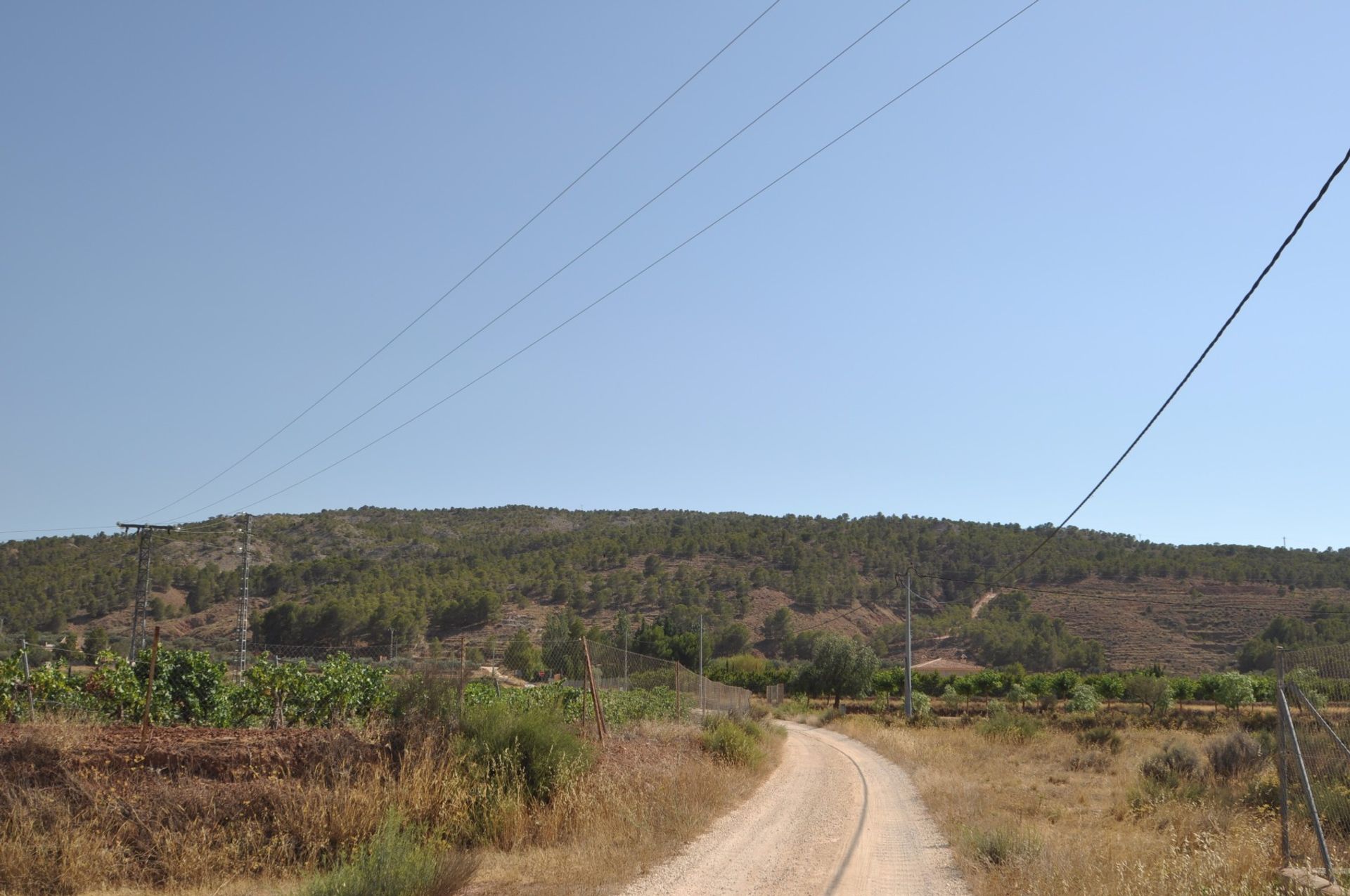 Tierra en Pinoso, Comunidad Valenciana 10723294