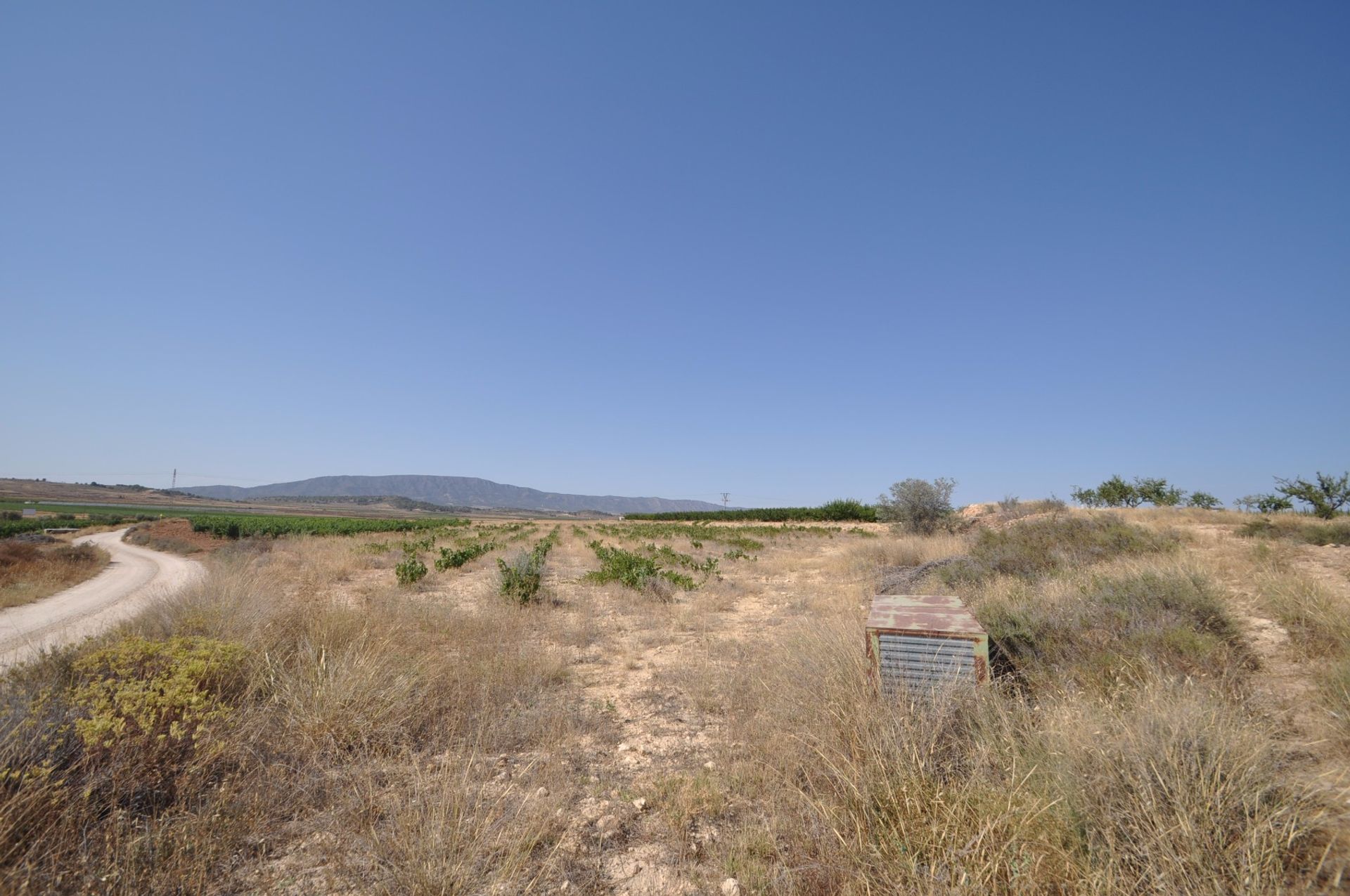 Tierra en Pinoso, Comunidad Valenciana 10723298