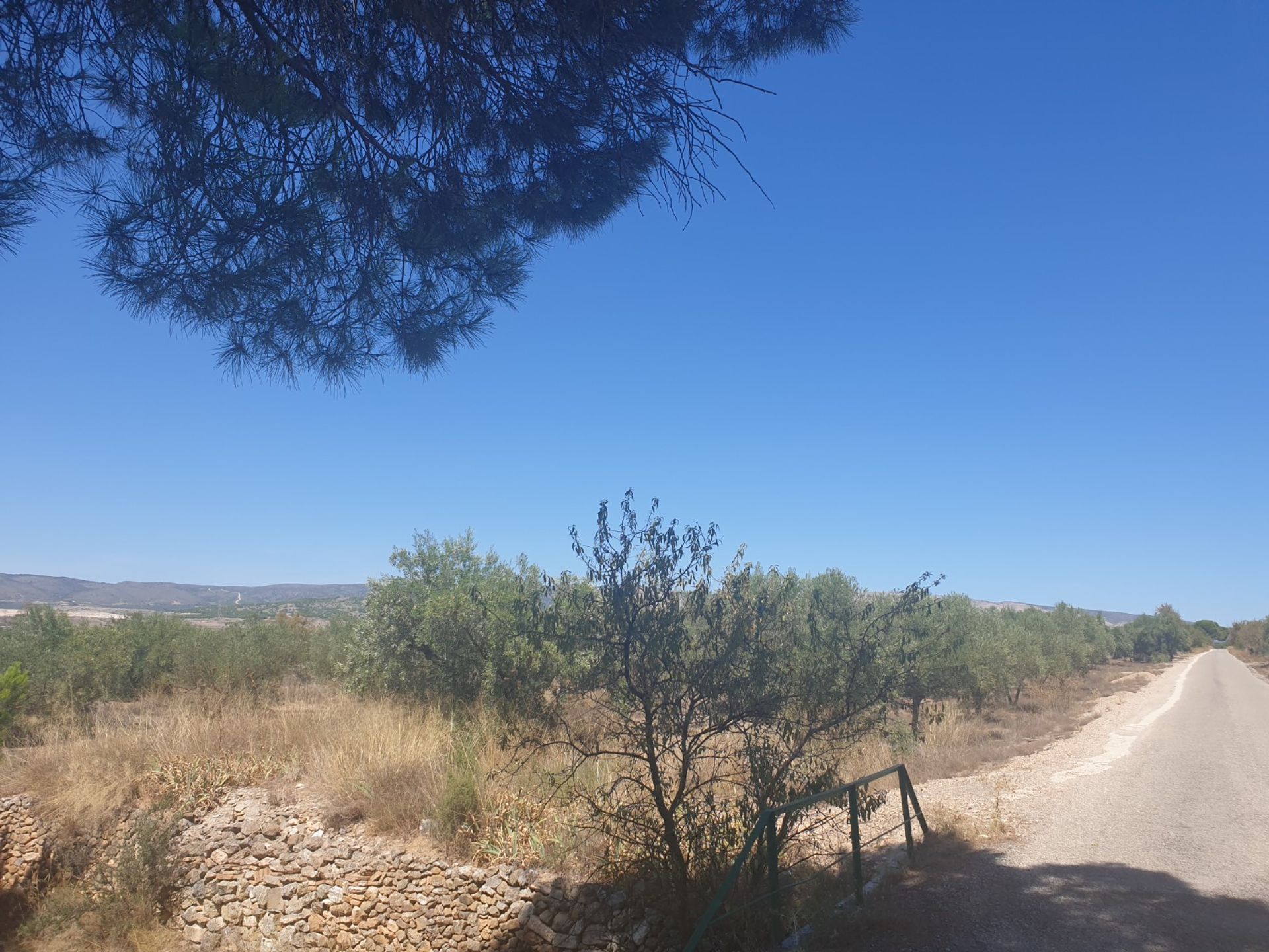 Land in Biar, Valencia 10723305