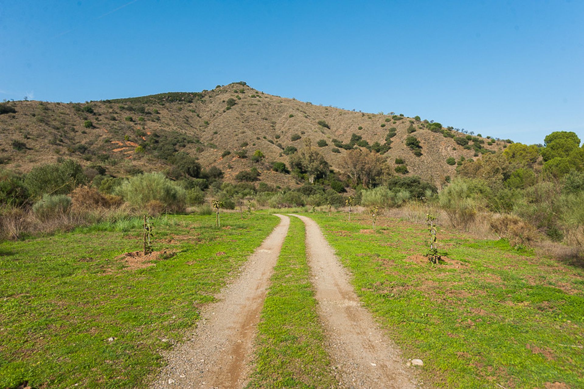 Land in Coín, Andalucía 10723337