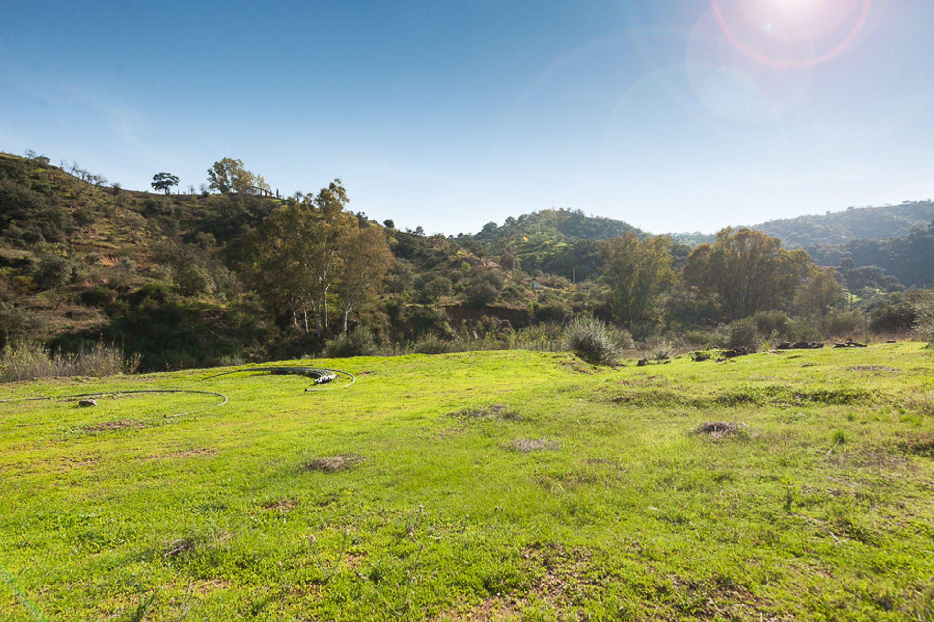 Land in Coín, Andalucía 10723337