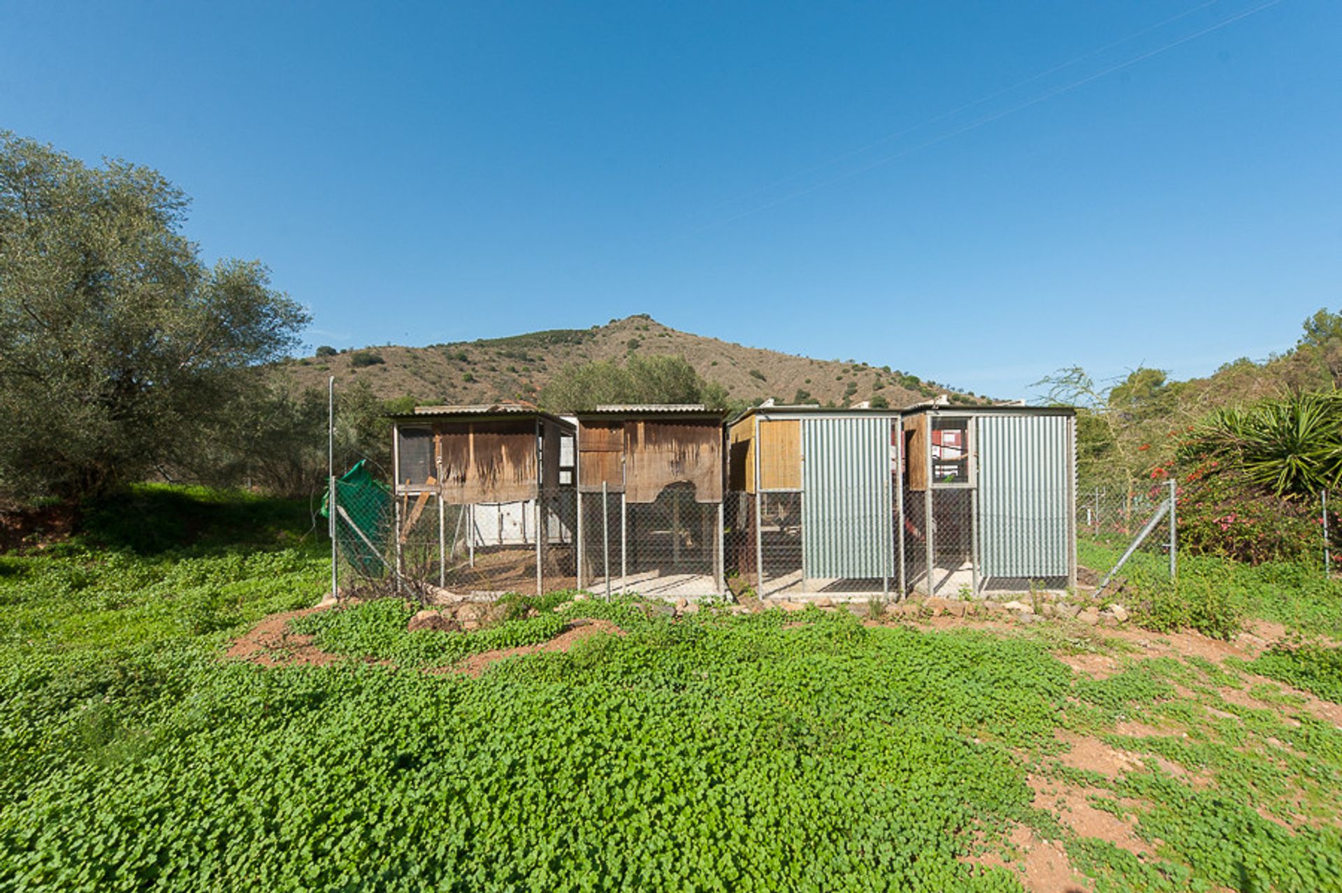 Land in Coín, Andalucía 10723337