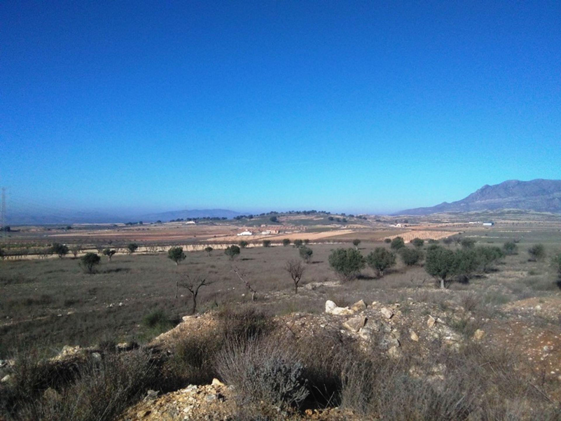 Land in Jumilla, Región de Murcia 10723341