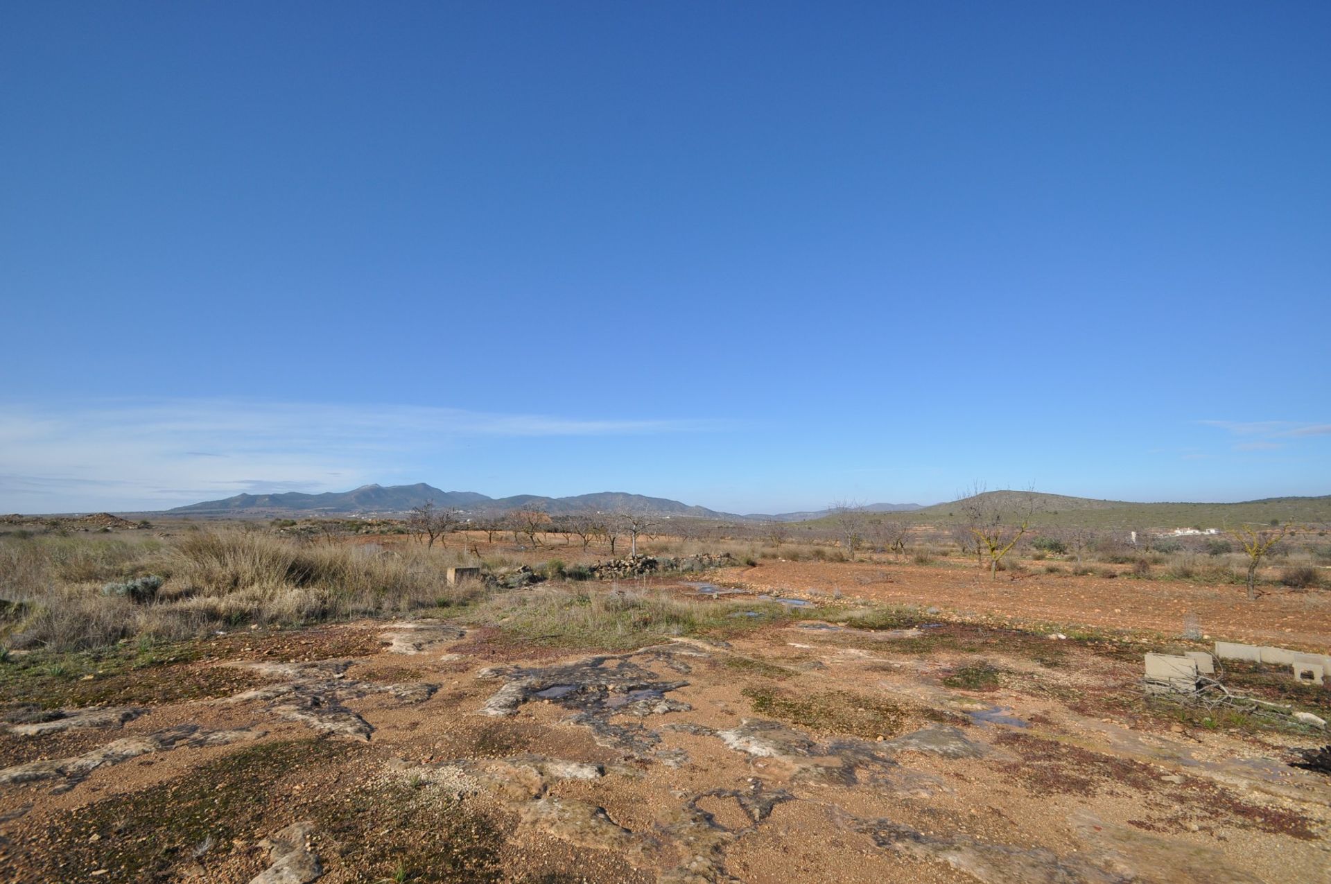 Tierra en Pinoso, Comunidad Valenciana 10723351