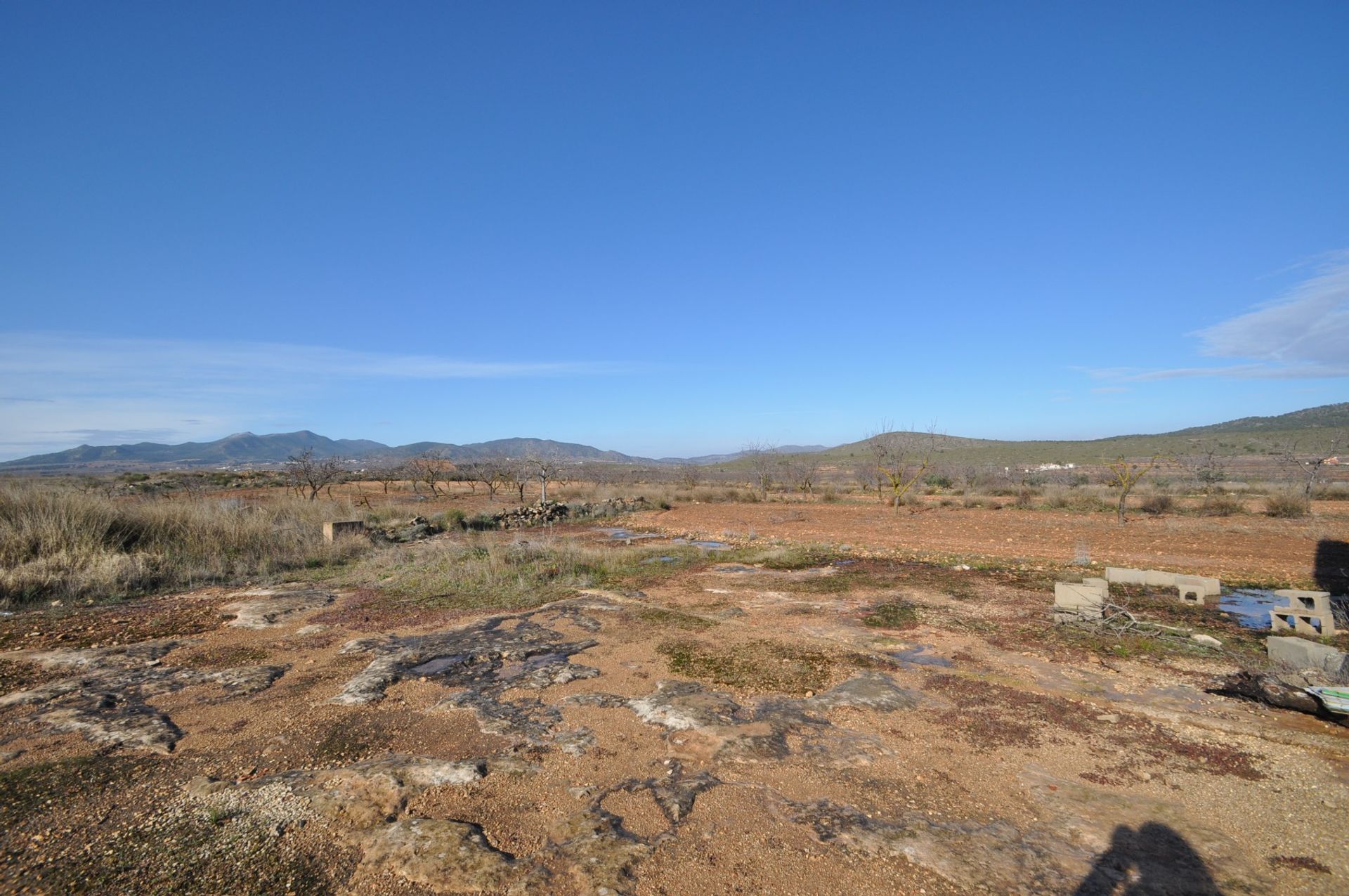 Tierra en Pinoso, Comunidad Valenciana 10723351