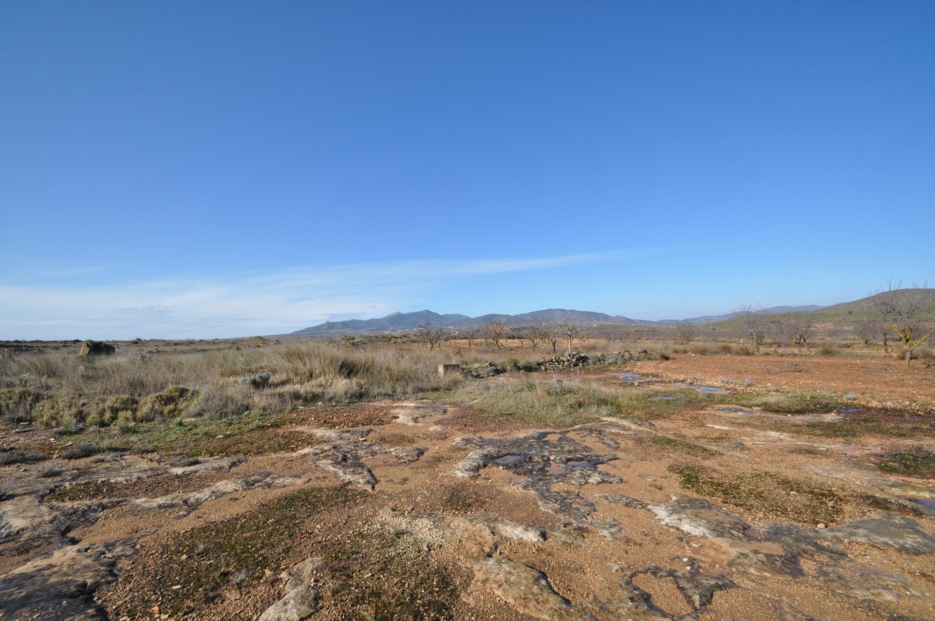 Terra no Pinoso, Valência 10723351